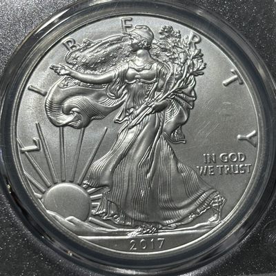 银币评级专场&全场保真包代 - 美国行走女神一美元银币，纯银一盎司一图一物、保真包代