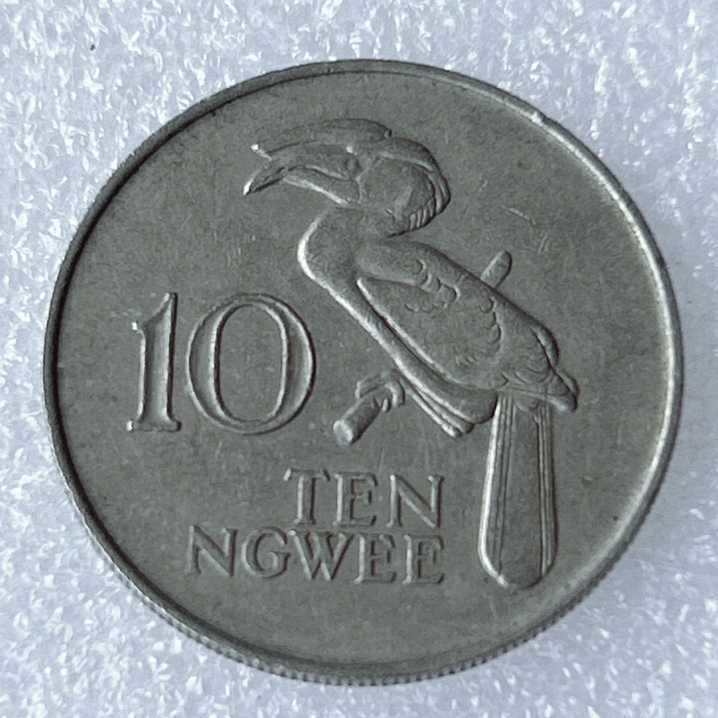 海外回流1元起拍小铺 各国钱币散币场 第8期 1968年赞比亚土著人巨嘴鸟10恩韦镍币