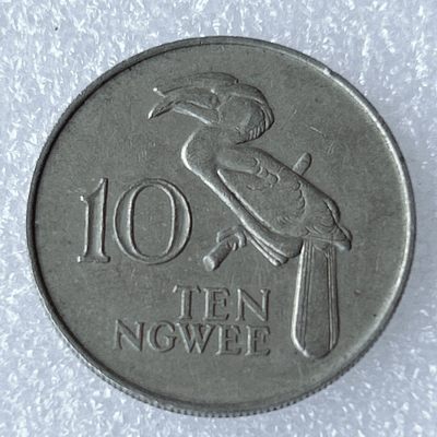 海外回流1元起拍小铺 各国钱币散币场 第8期 1968年赞比亚土著人巨嘴鸟10恩韦镍币