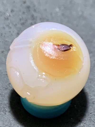 精美高玉化亚光冰粉海洋玉髓手工俏色巧雕玉兔（兔飞猛进）随形圆珠一个！ - 精美高玉化亚光冰粉海洋玉髓手工俏色巧雕玉兔（兔飞猛进）随形圆珠一个！