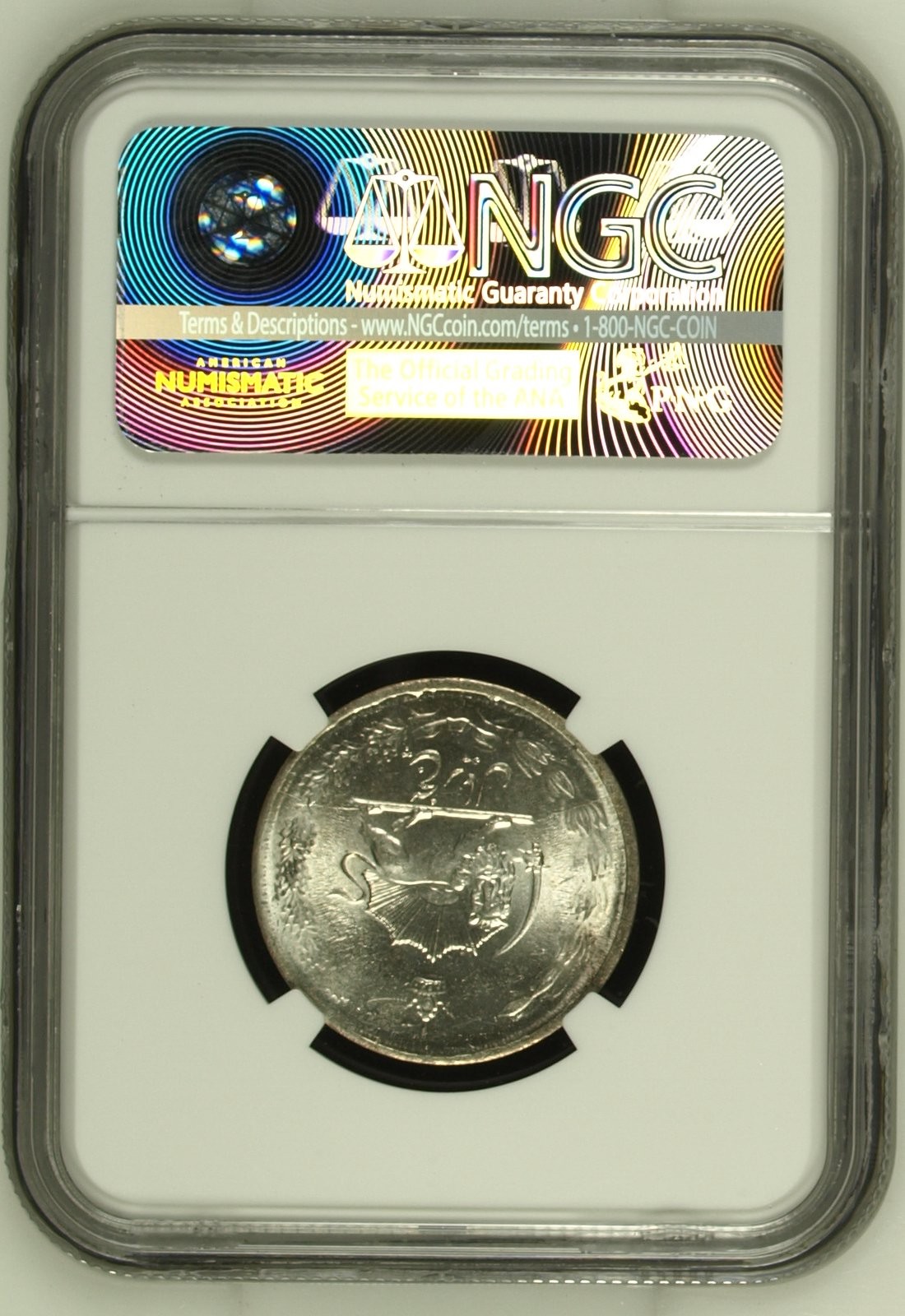 长老汇龙年精选第二场