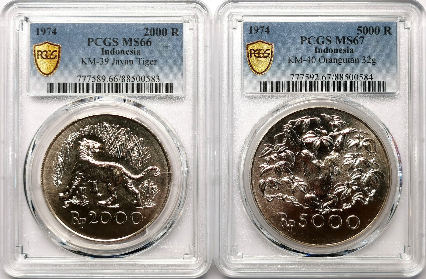 凡希社世界钱币微拍第二百六十二期 1974印度尼西亚濒危动物大银爪哇虎/红毛大猩猩两枚套PCGS-MS66/67