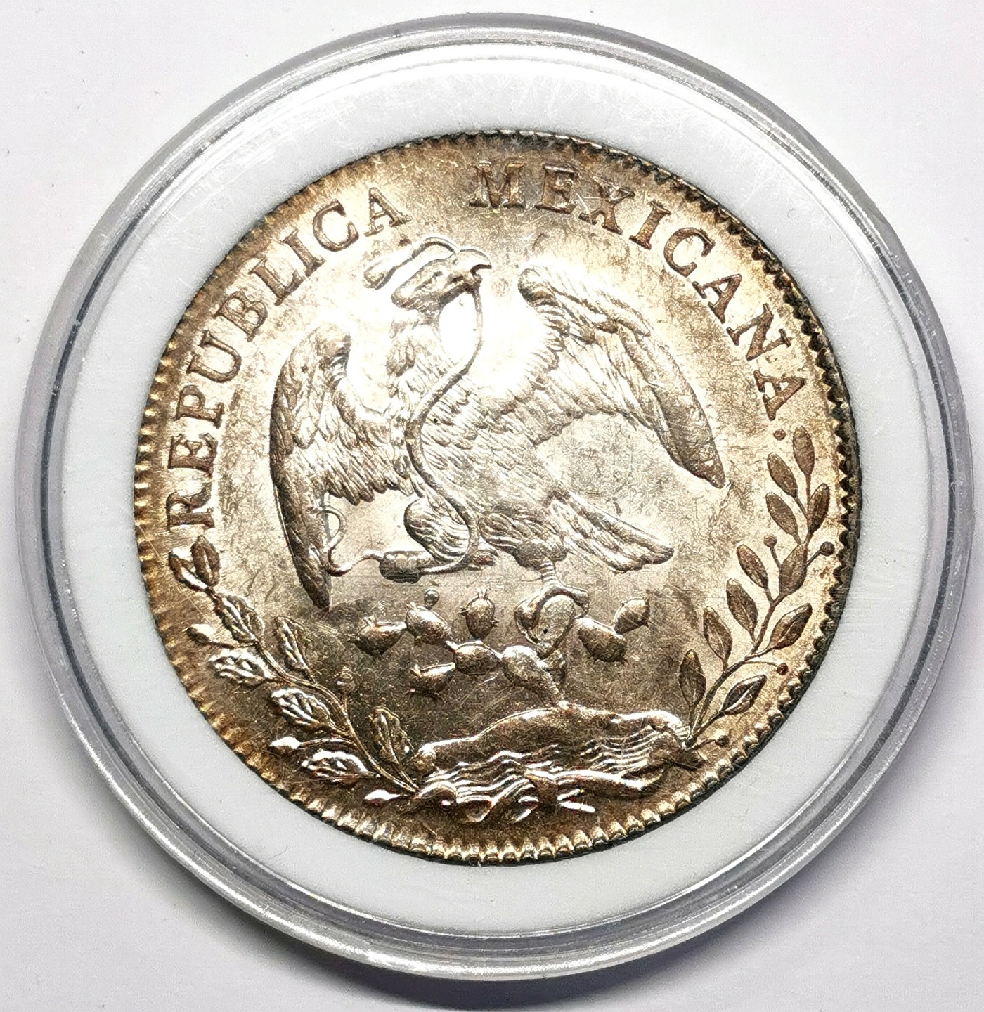 凡希社世界钱币微拍第二百六十二期 1885MO墨西哥花边鹰洋BU