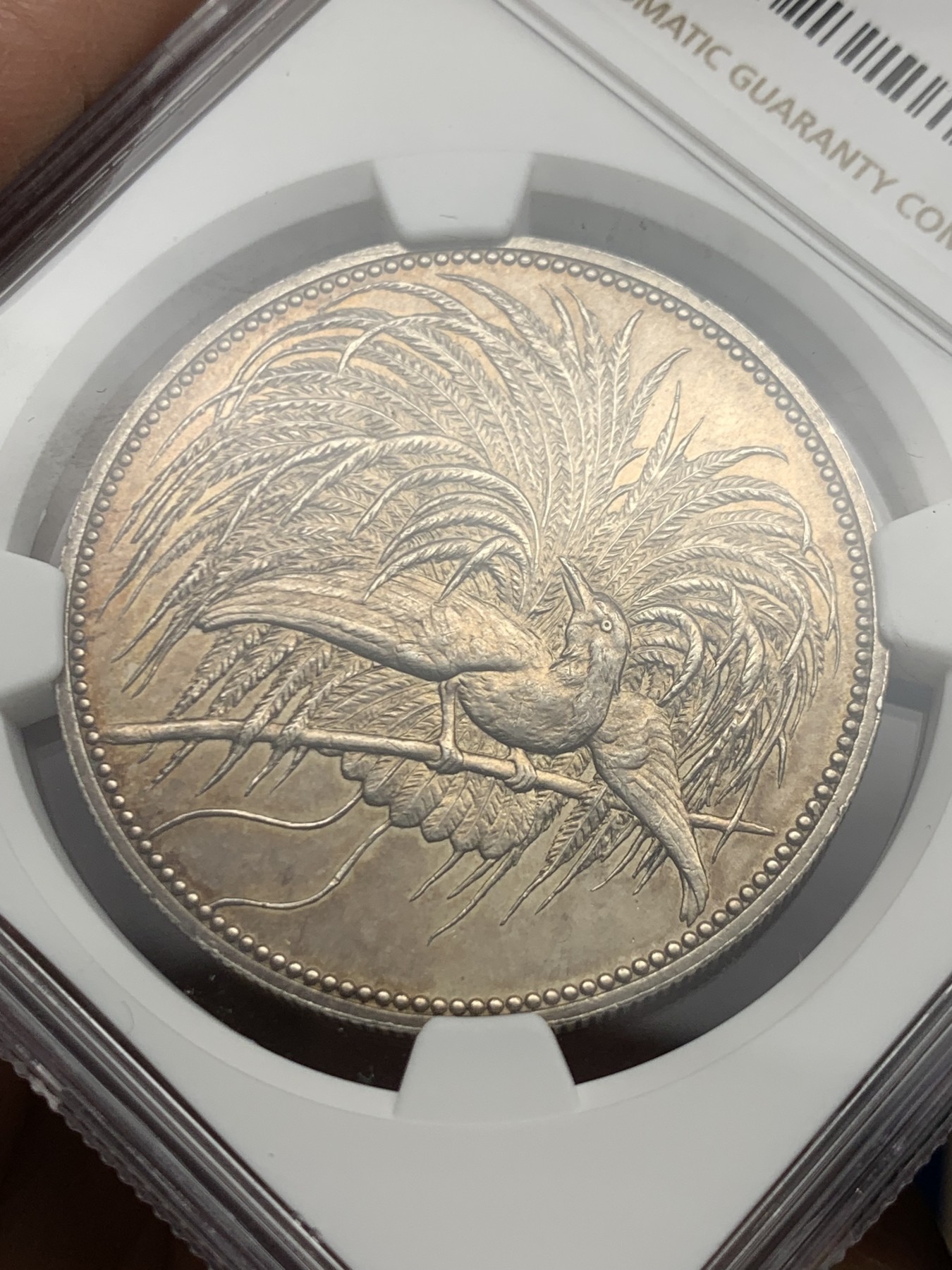 《竞宝斋》第245场-周日，周一 ，周二3场连拍 (全场包邮)