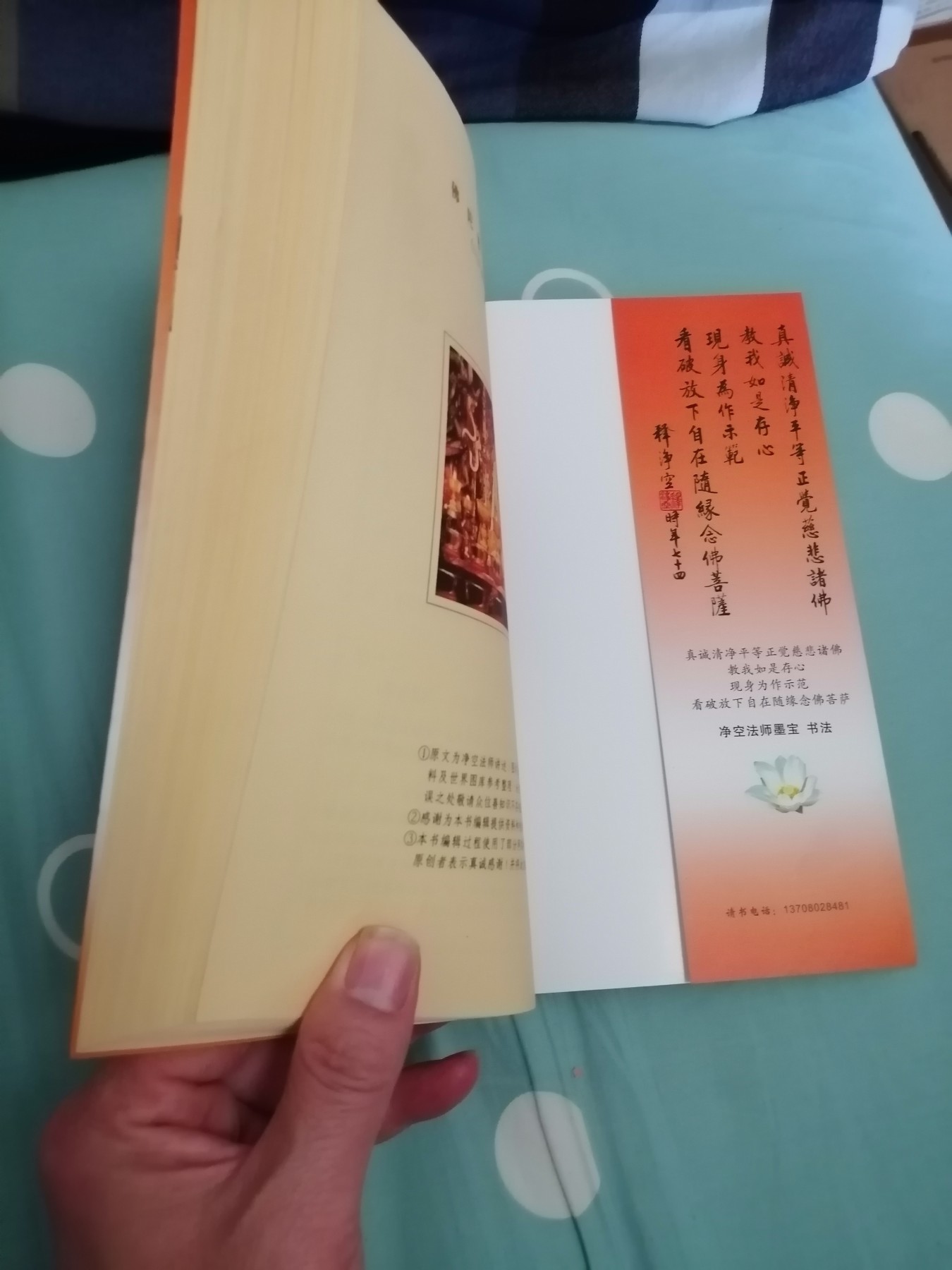 认识佛教  幸福美满的教育