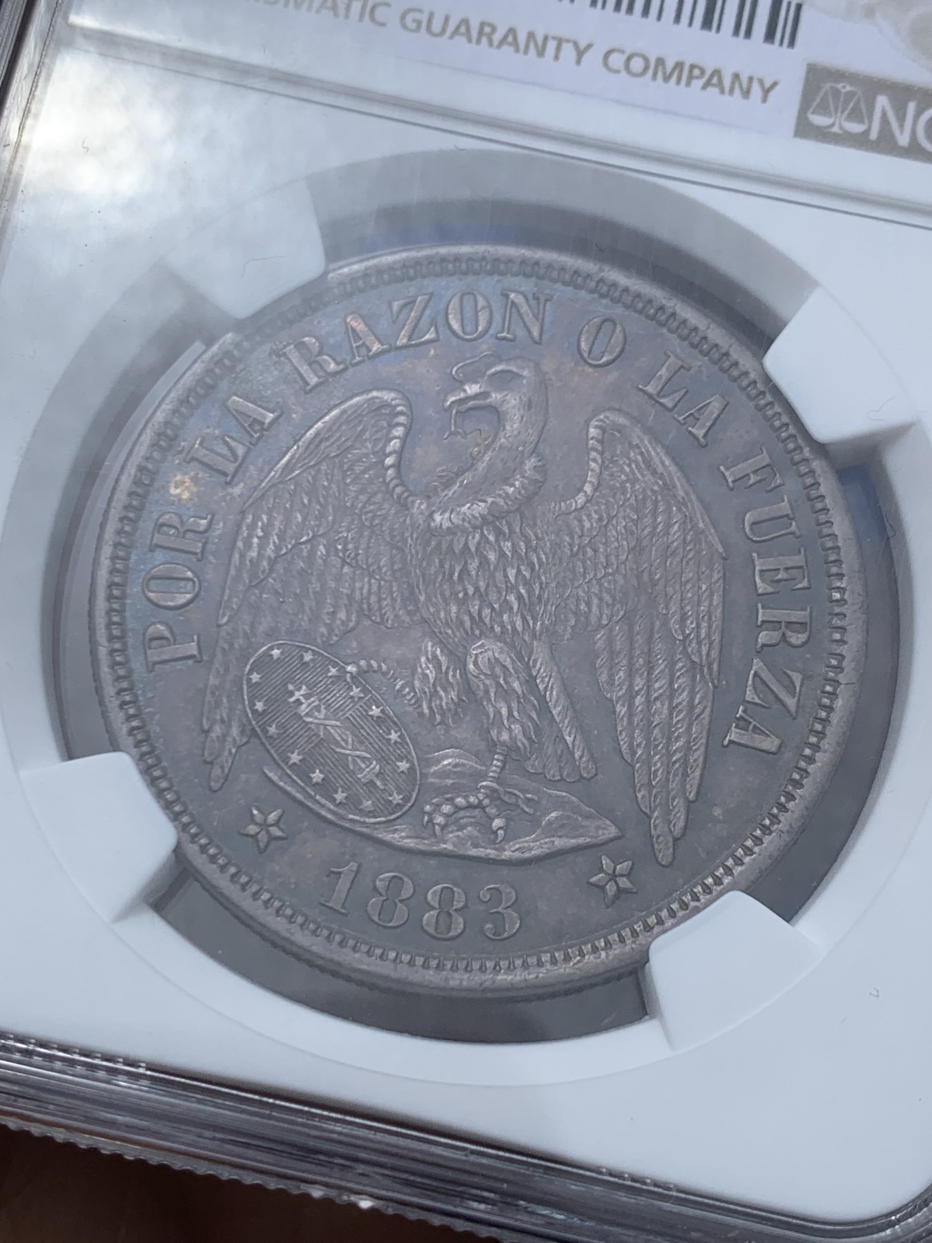 《竞宝斋》第245场-周日，周一 ，周二3场连拍 (全场包邮) NGC-MS62 智利 1883年 安第斯神 1比索 银币 中南美洲逐渐升温品种 酱紫色包浆 味道很好 低评