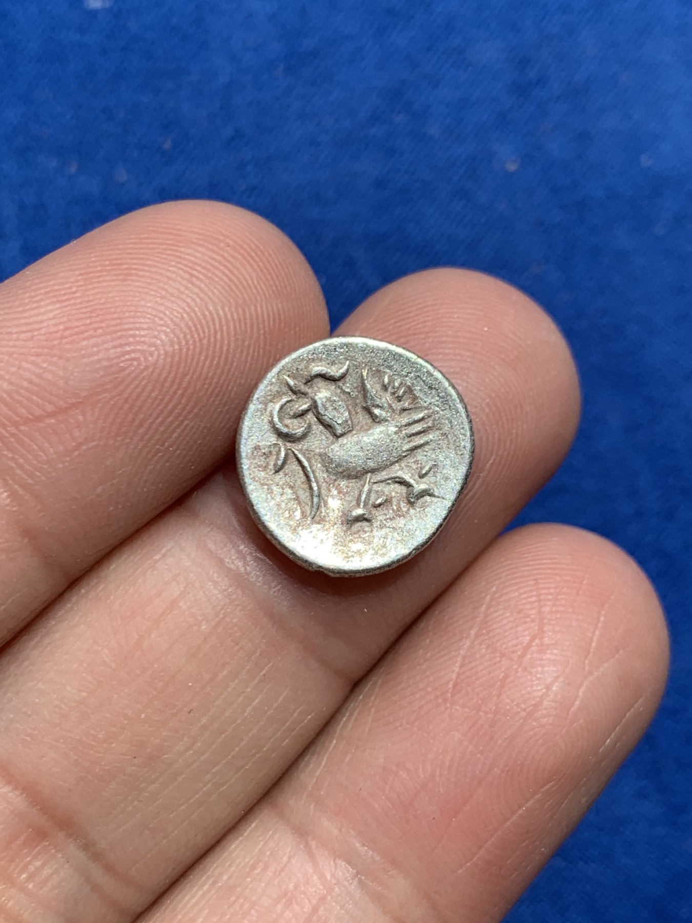 《竞宝斋》第245场-周日，周一 ，周二3场连拍 (全场包邮) 柬埔寨金边王朝小鸟打制银币