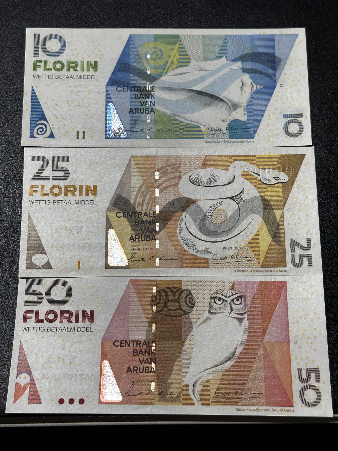 《外钞收藏家》第三百四十七期 美洲纸币专场（荷属安的列斯、福克兰群岛、阿鲁巴、墨西哥等） 阿鲁巴2003年10/25/50弗洛林，小套3枚（P16-18）全新UNC