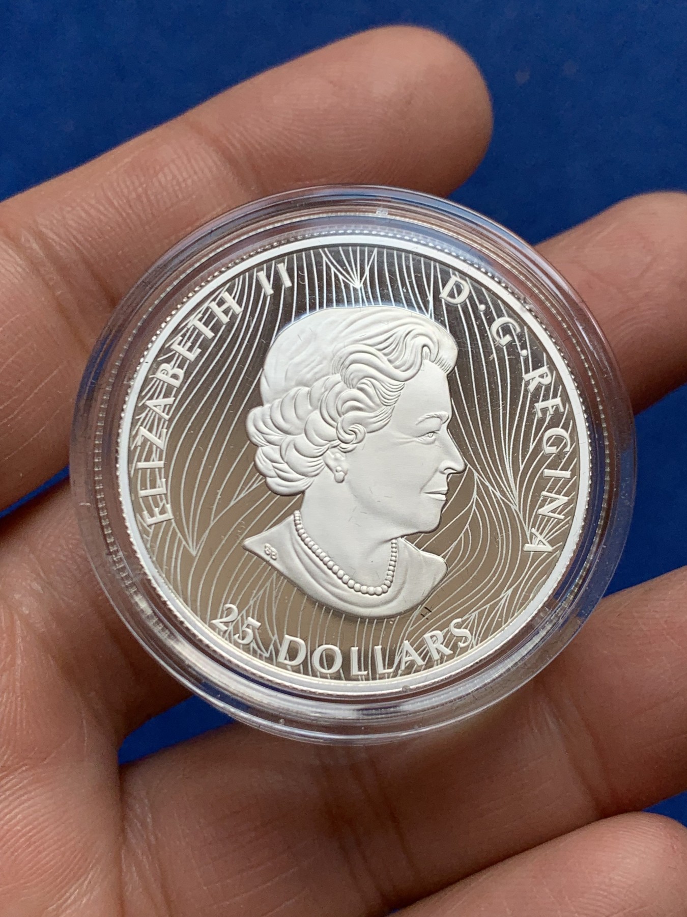 《竞宝斋》第245场-周日，周一 ，周二3场连拍 (全场包邮) 加拿大2021年发行野生动物系列-北美野牛精制银币-25加元（超高浮雕作品，限量5000枚） 礼盒装带证书 36mm 1盎司 9999银