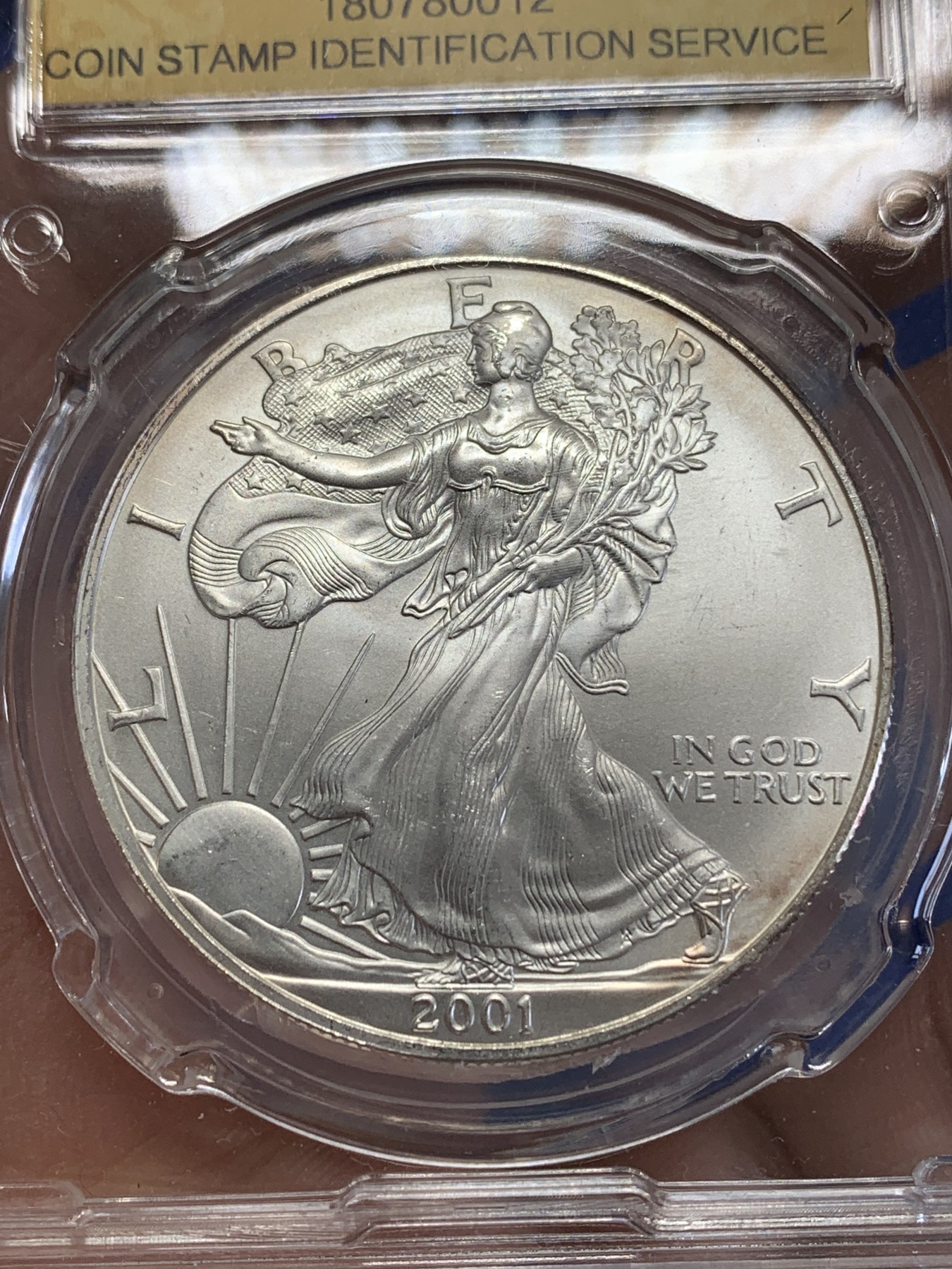 《竞宝斋》第245场-周日，周一 ，周二3场连拍 (全场包邮) CSIS MS65 美国2001年行走女神1盎司投资银币 999银 高分好品