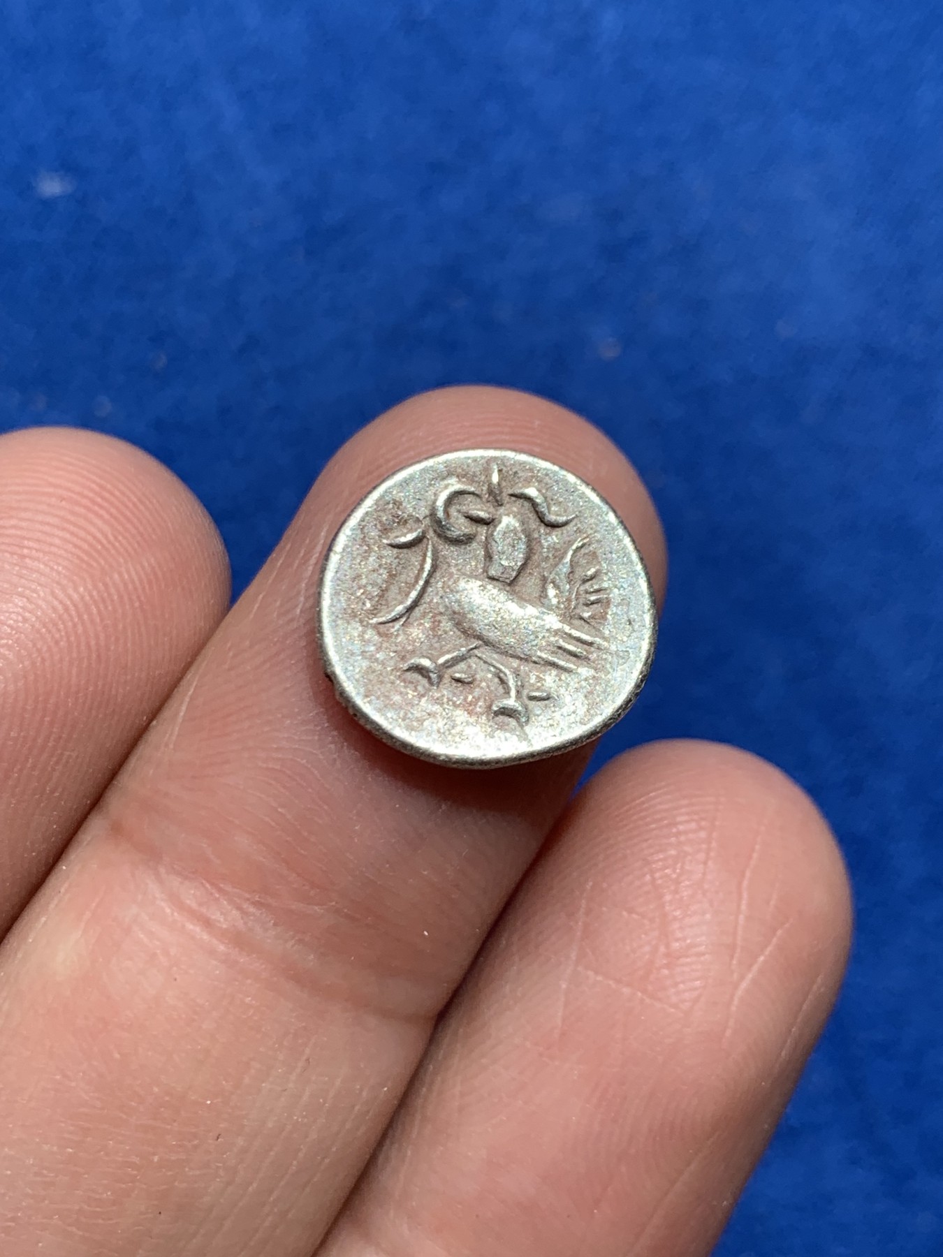 《竞宝斋》第245场-周日，周一 ，周二3场连拍 (全场包邮) 柬埔寨金边王朝小鸟打制银币