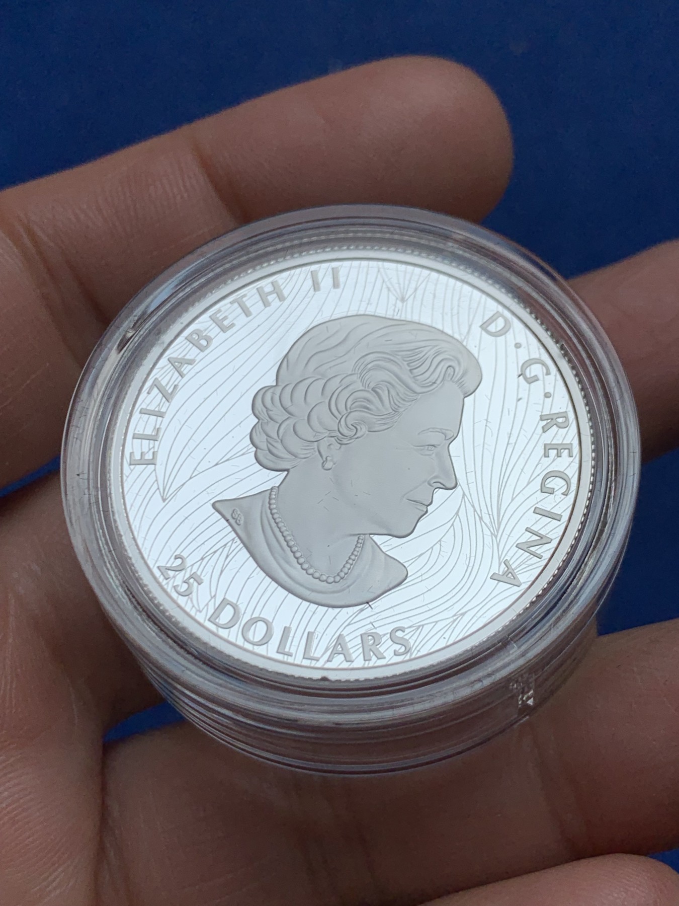 《竞宝斋》第245场-周日，周一 ，周二3场连拍 (全场包邮) 加拿大2021年发行野生动物系列-北美野牛精制银币-25加元（超高浮雕作品，限量5000枚） 礼盒装带证书 36mm 1盎司 9999银