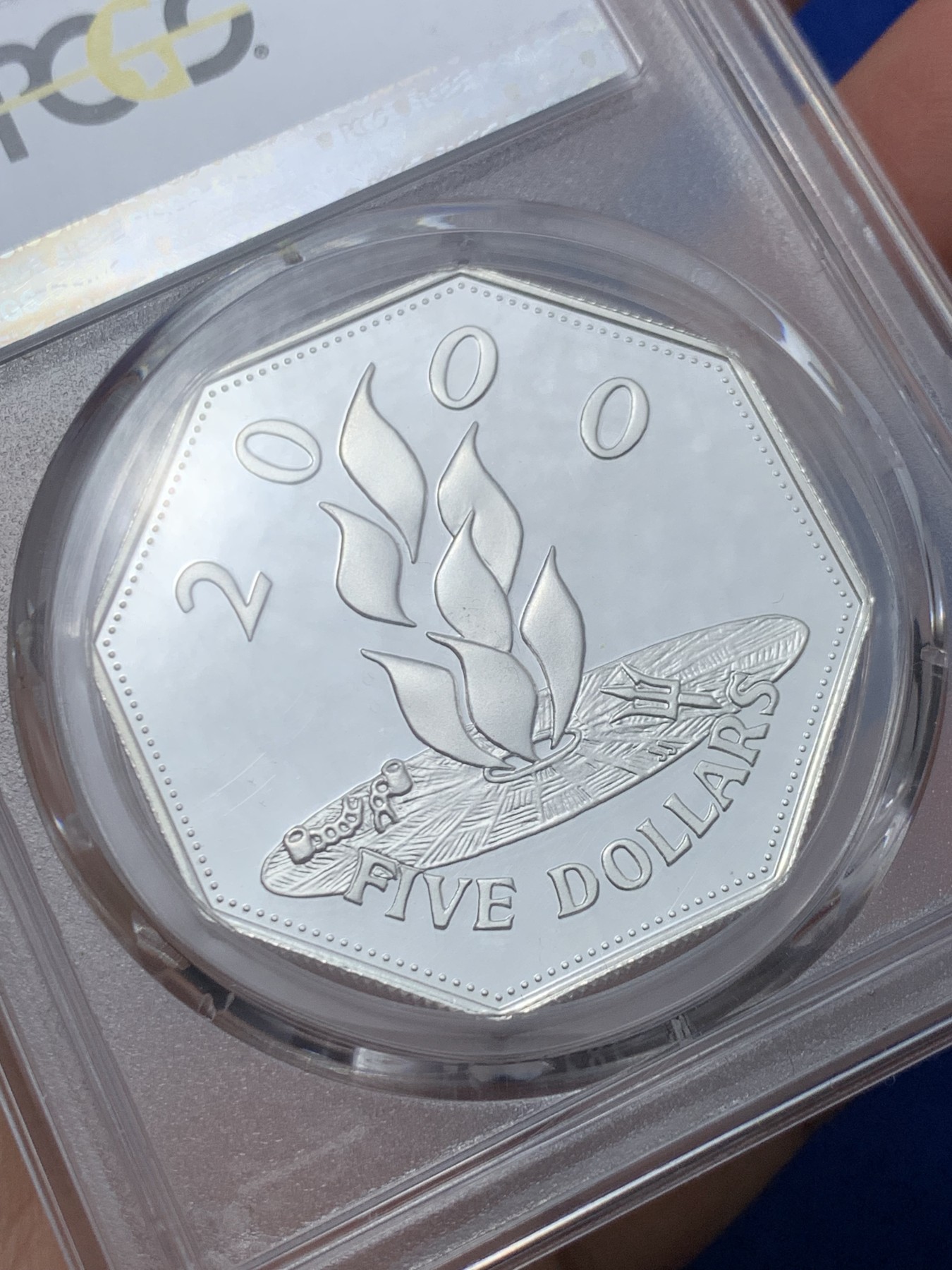 《竞宝斋》第245场-周日，周一 ，周二3场连拍 (全场包邮) PCGS金盾 PR69DCAM 巴巴多斯1999-2000年5元千禧年纪念精制大银币，唯一冠军分