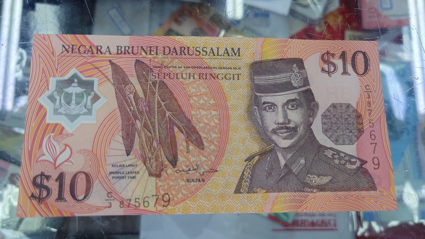 【世界钱币】精选微拍第95期暨2024年第六期 评级币裸钞场 1996年文莱10林吉特 全新绝品