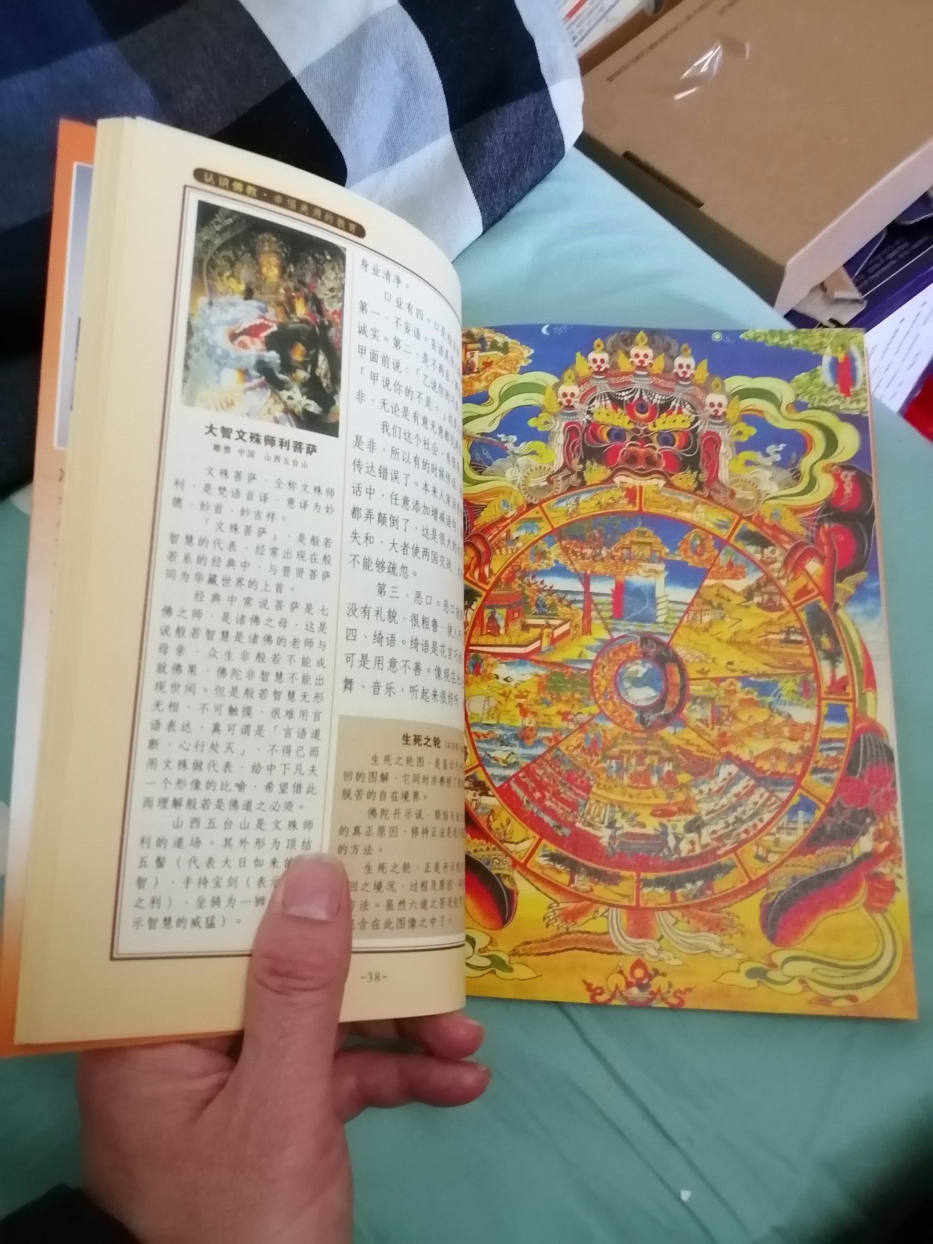 认识佛教  幸福美满的教育