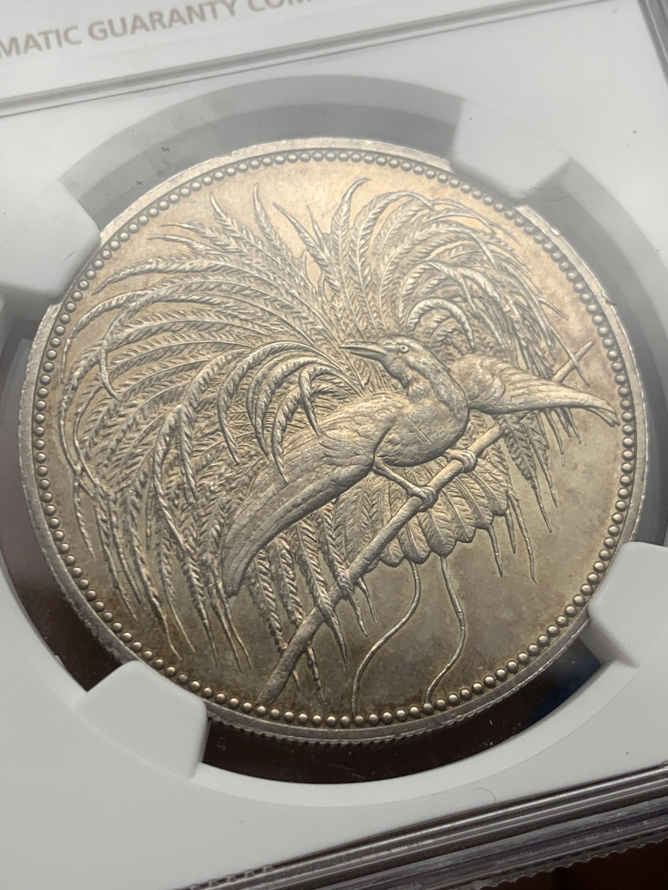 《竞宝斋》第245场-周日，周一 ，周二3场连拍 (全场包邮)