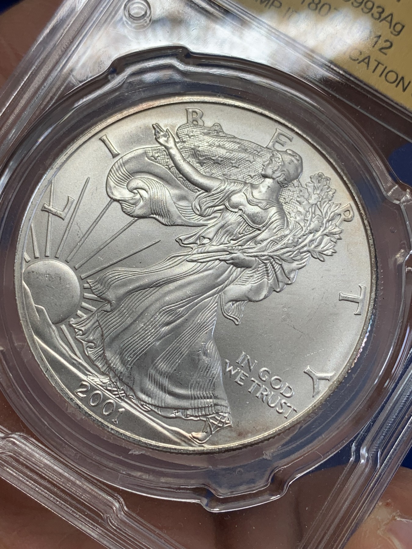 《竞宝斋》第245场-周日，周一 ，周二3场连拍 (全场包邮) CSIS MS65 美国2001年行走女神1盎司投资银币 999银 高分好品