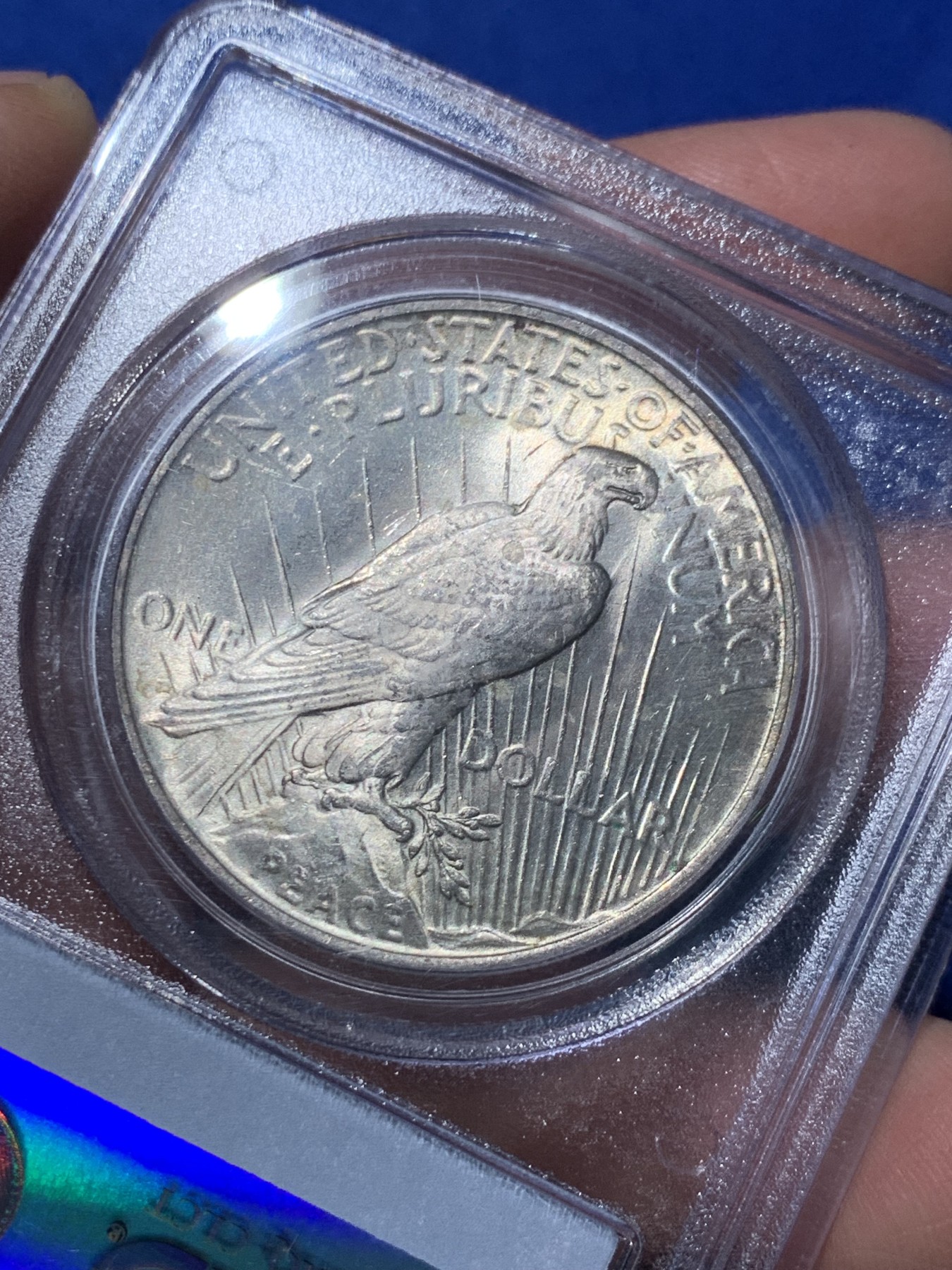 《竞宝斋》第246场-周日，周一 ，周二3场连拍 (全场包邮) PCGS-MS63 美国1922和平1元银币 pcgs老白标盒 严评 背面支撑脚小磕