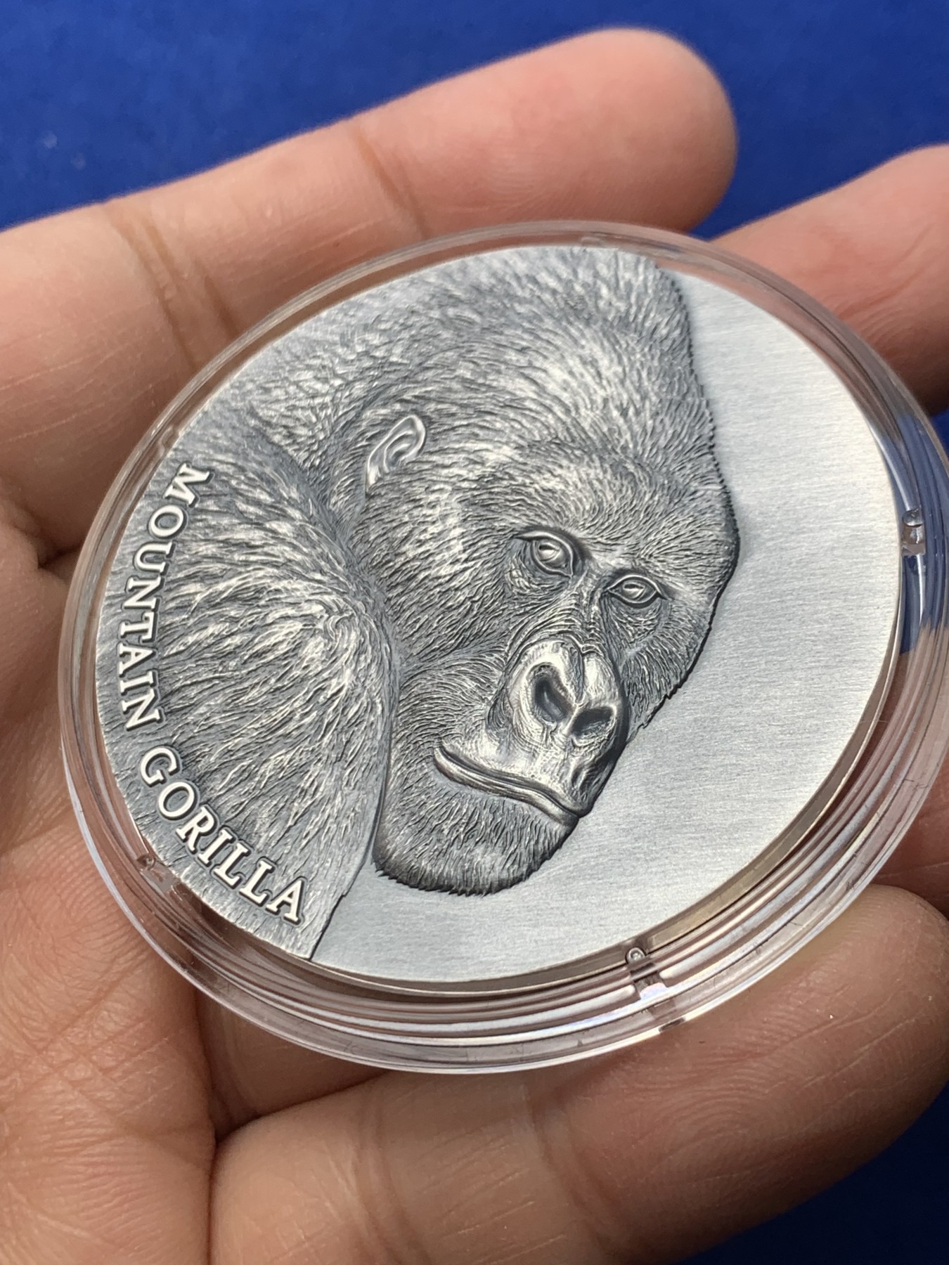 《竞宝斋》第246场-周日，周一 ，周二3场连拍 (全场包邮) 喀麦隆2021年2000中非法郎 山地猩猩2盎司高浮雕银币 发行500枚 雕刻精美 盒证全 62.2克 999银