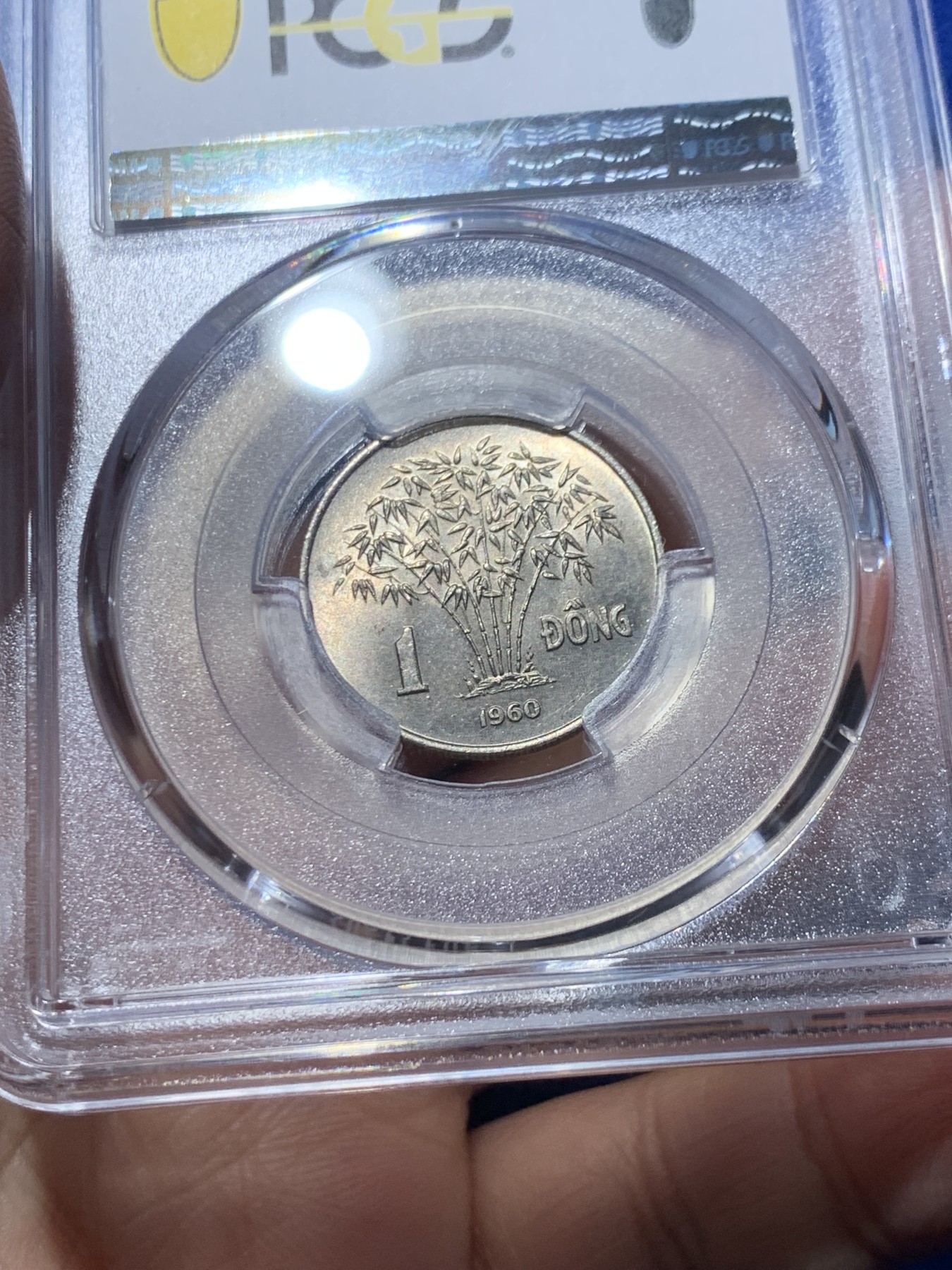 《竞宝斋》第246场-周日，周一 ，周二3场连拍 (全场包邮) PCGS MS65 越南1960年吴庭艳头像1盾，高分强光好品！