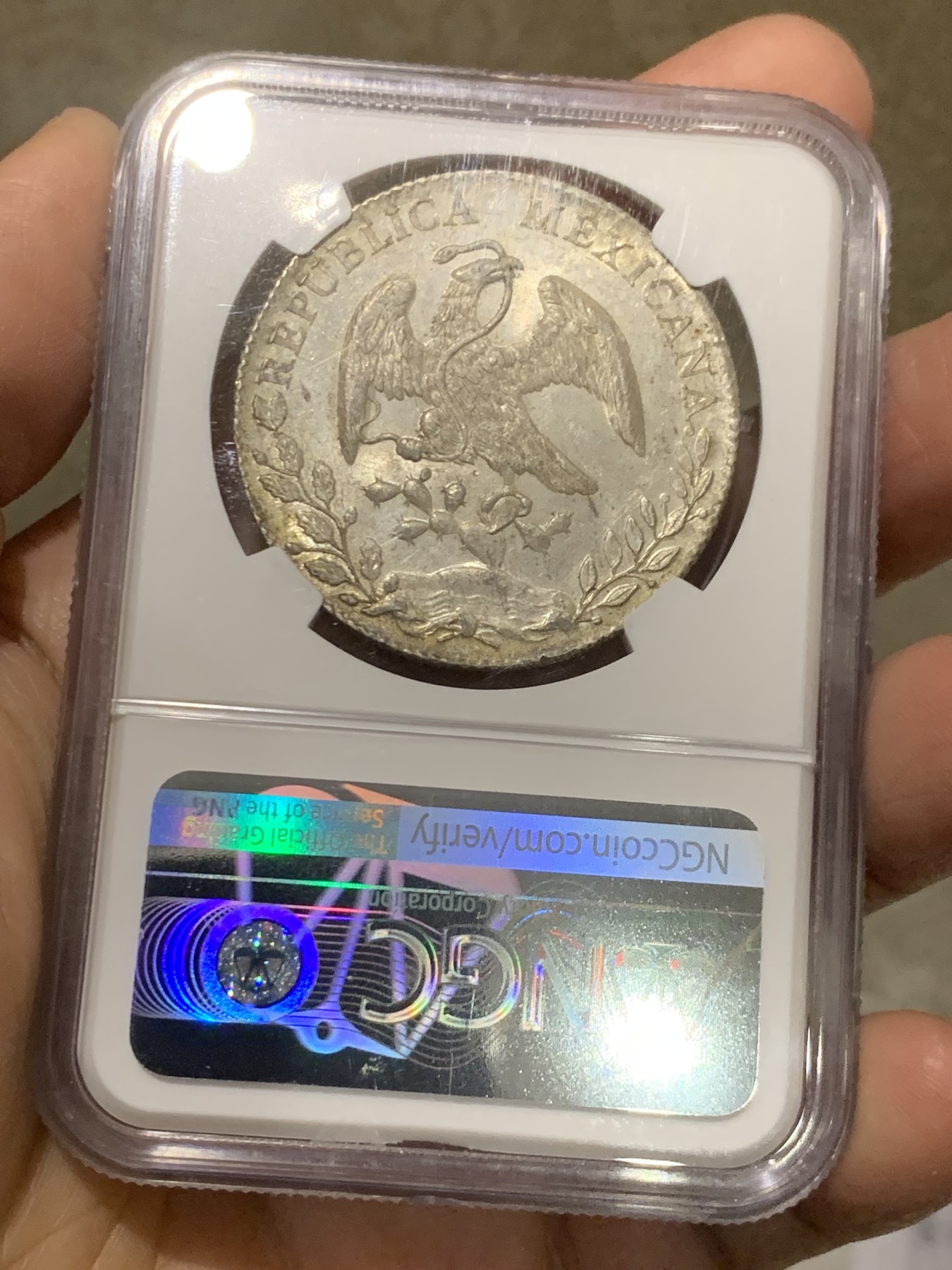 《竞宝斋》第246场-周日，周一 ，周二3场连拍 (全场包邮) NGC MS63 墨西哥1893年花边鹰洋 全羽毛 原光 丝绸底板