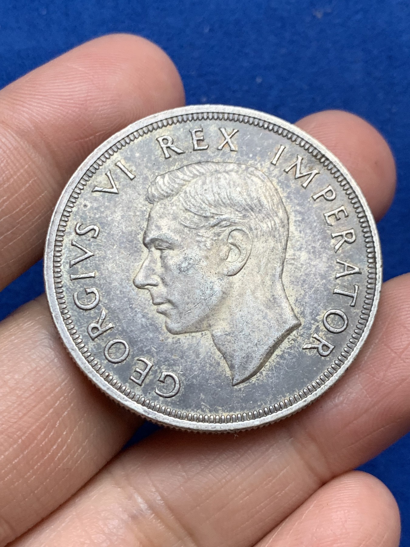 《竞宝斋》第246场-周日，周一 ，周二3场连拍 (全场包邮) 南非1947年 乔六跳羚5先令 银币 高银版