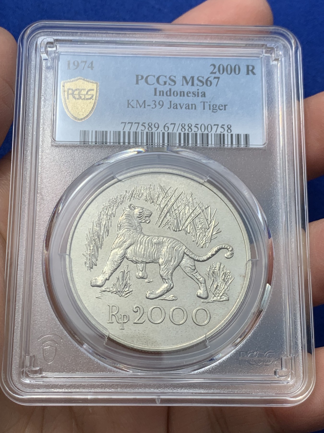 《竞宝斋》第246场-周日，周一 ，周二3场连拍 (全场包邮) PCGS-MS67 印度尼西亚1974年爪哇虎2000卢比银币，原汁原味老包浆，包浆醇厚，状态极佳，顶级高分，获得更高评级数量4枚。