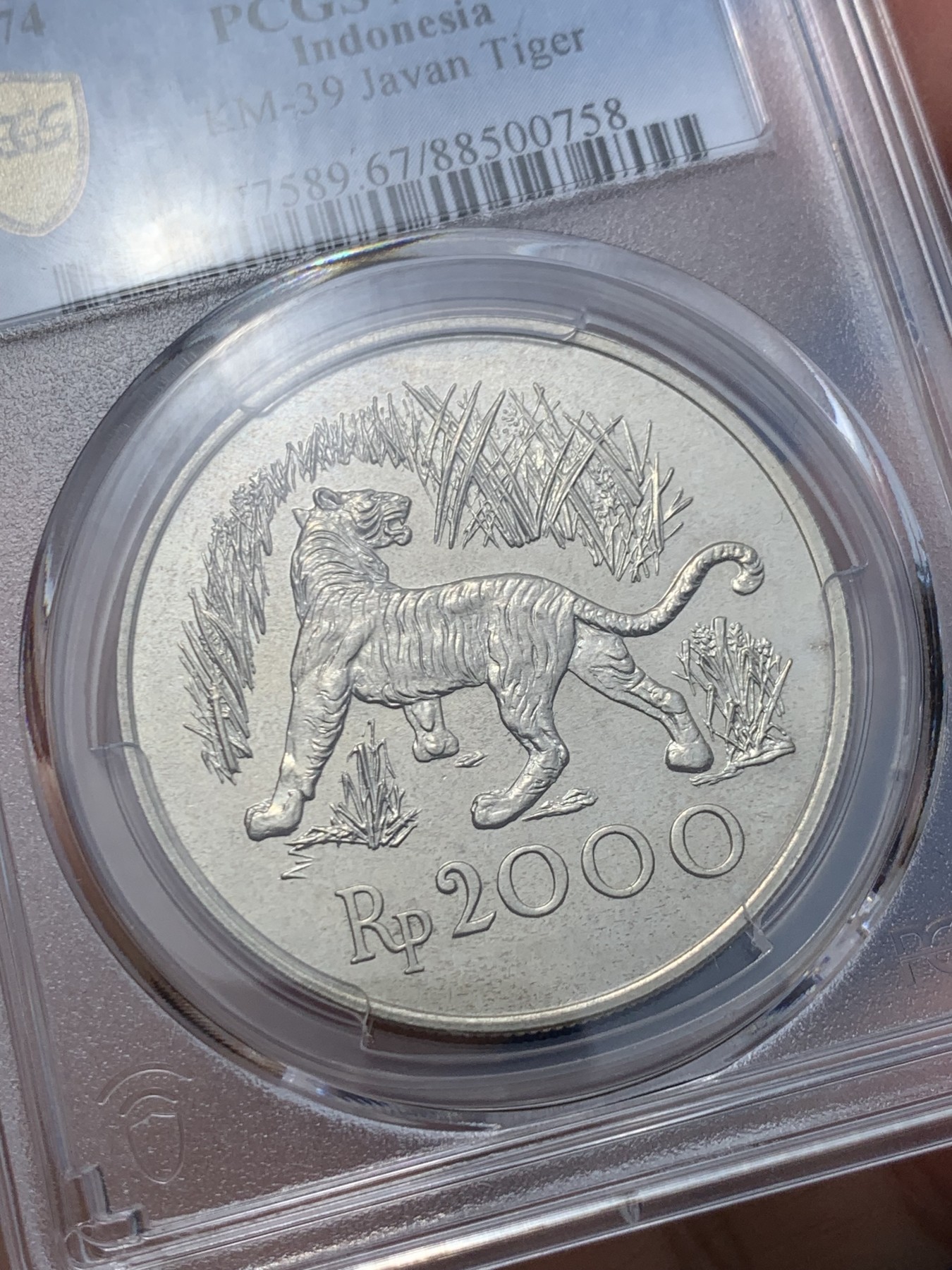 《竞宝斋》第246场-周日，周一 ，周二3场连拍 (全场包邮) PCGS-MS67 印度尼西亚1974年爪哇虎2000卢比银币，原汁原味老包浆，包浆醇厚，状态极佳，顶级高分，获得更高评级数量4枚。