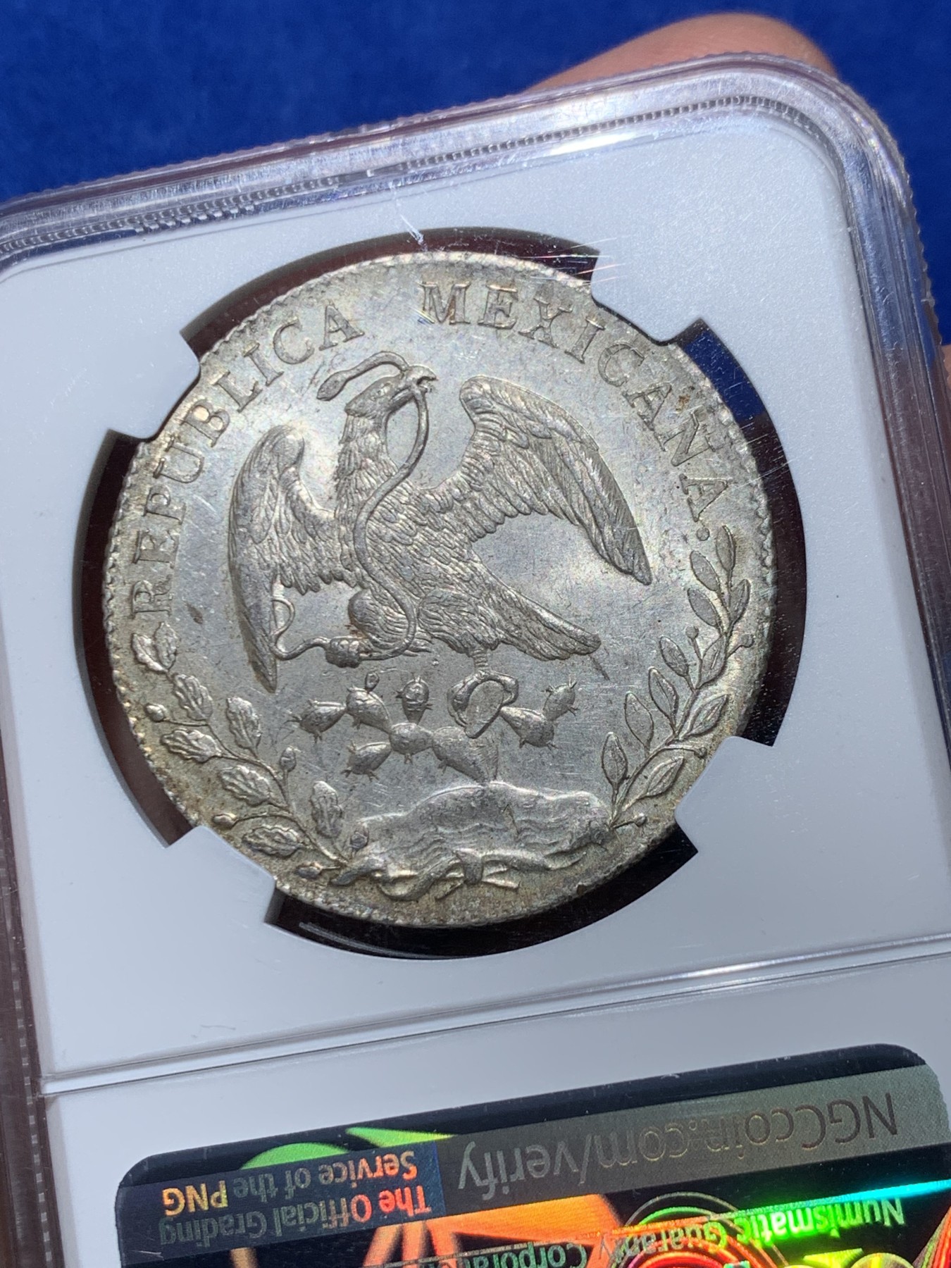 《竞宝斋》第246场-周日，周一 ，周二3场连拍 (全场包邮) NGC MS63 墨西哥1893年花边鹰洋 全羽毛 原光 丝绸底板