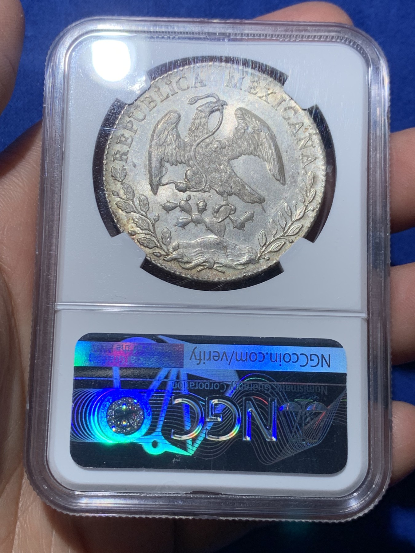 《竞宝斋》第246场-周日，周一 ，周二3场连拍 (全场包邮) NGC MS63 墨西哥1893年花边鹰洋 全羽毛 原光 丝绸底板