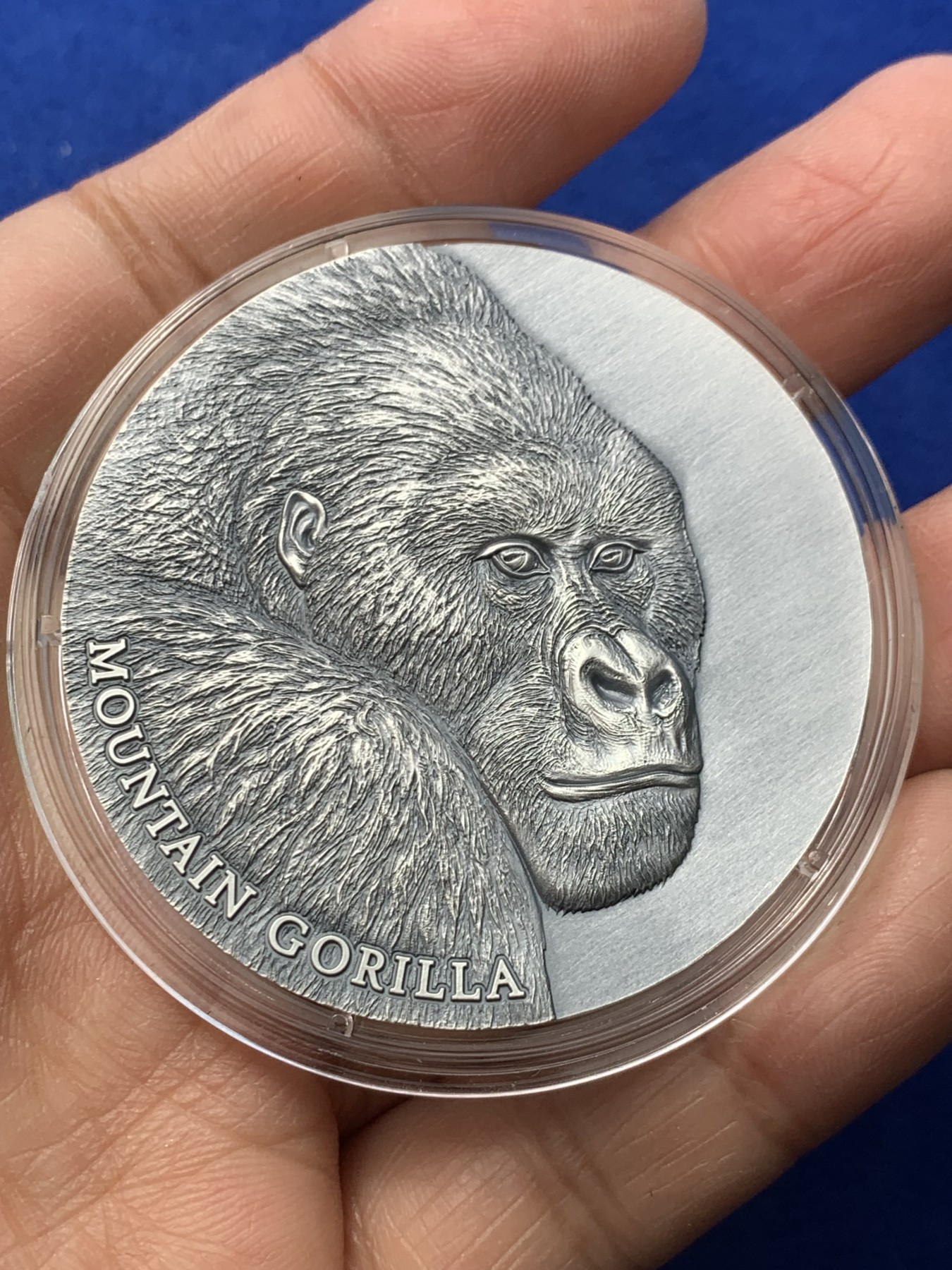 《竞宝斋》第246场-周日，周一 ，周二3场连拍 (全场包邮) 喀麦隆2021年2000中非法郎 山地猩猩2盎司高浮雕银币 发行500枚 雕刻精美 盒证全 62.2克 999银