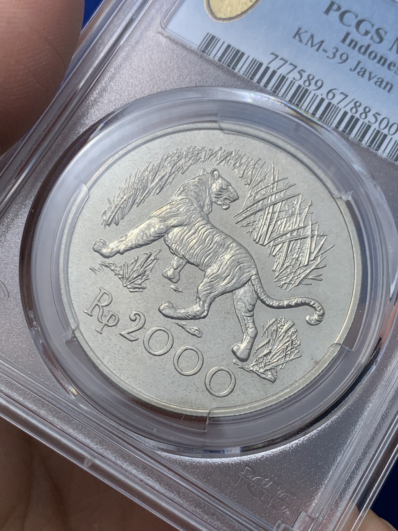 《竞宝斋》第246场-周日，周一 ，周二3场连拍 (全场包邮) PCGS-MS67 印度尼西亚1974年爪哇虎2000卢比银币，原汁原味老包浆，包浆醇厚，状态极佳，顶级高分，获得更高评级数量4枚。