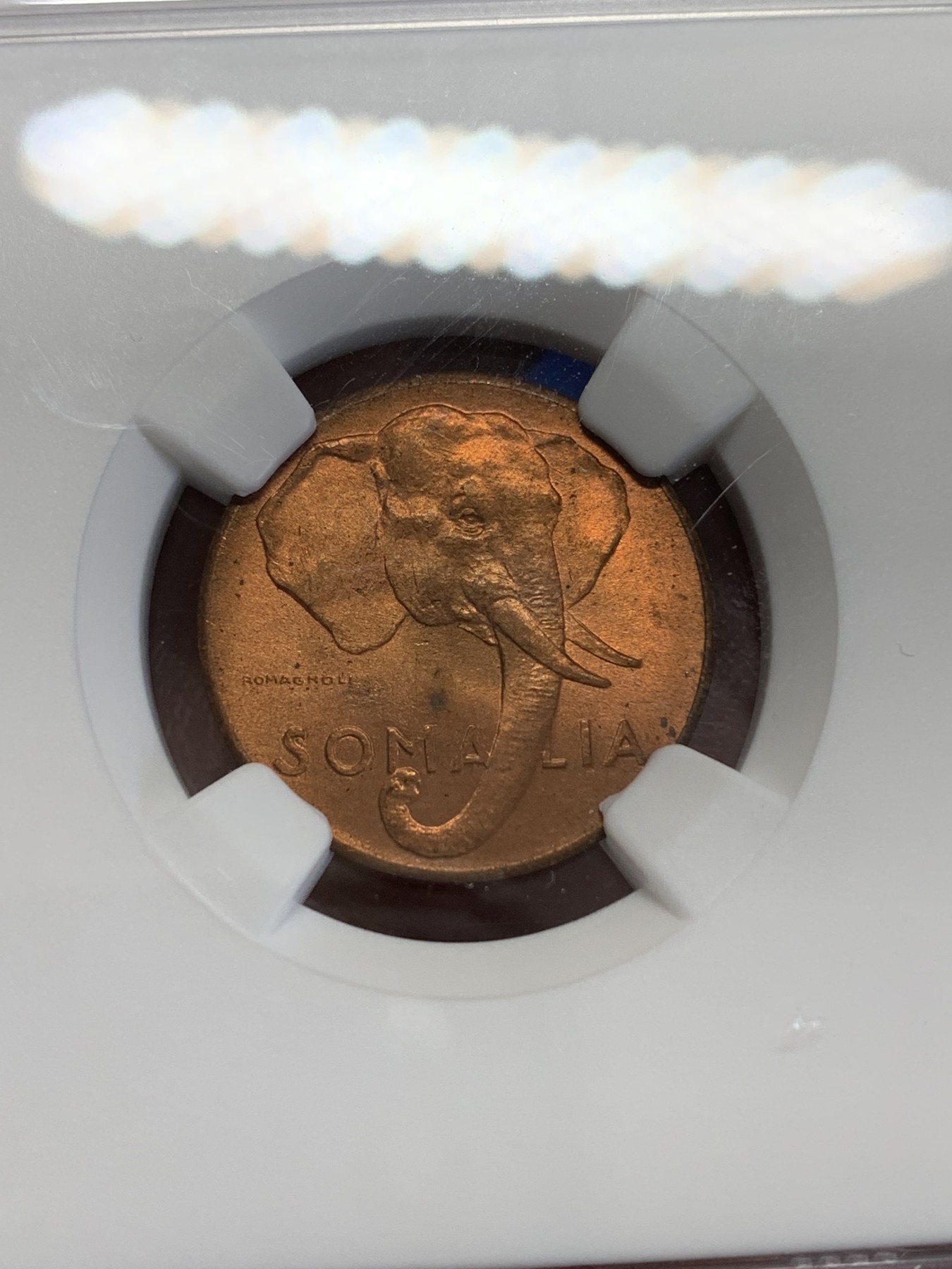 《竞宝斋》第246场-周日，周一 ，周二3场连拍 (全场包邮) NGC MS64RD 索马里1950年1分大象头像铜币，红光好品，RD！