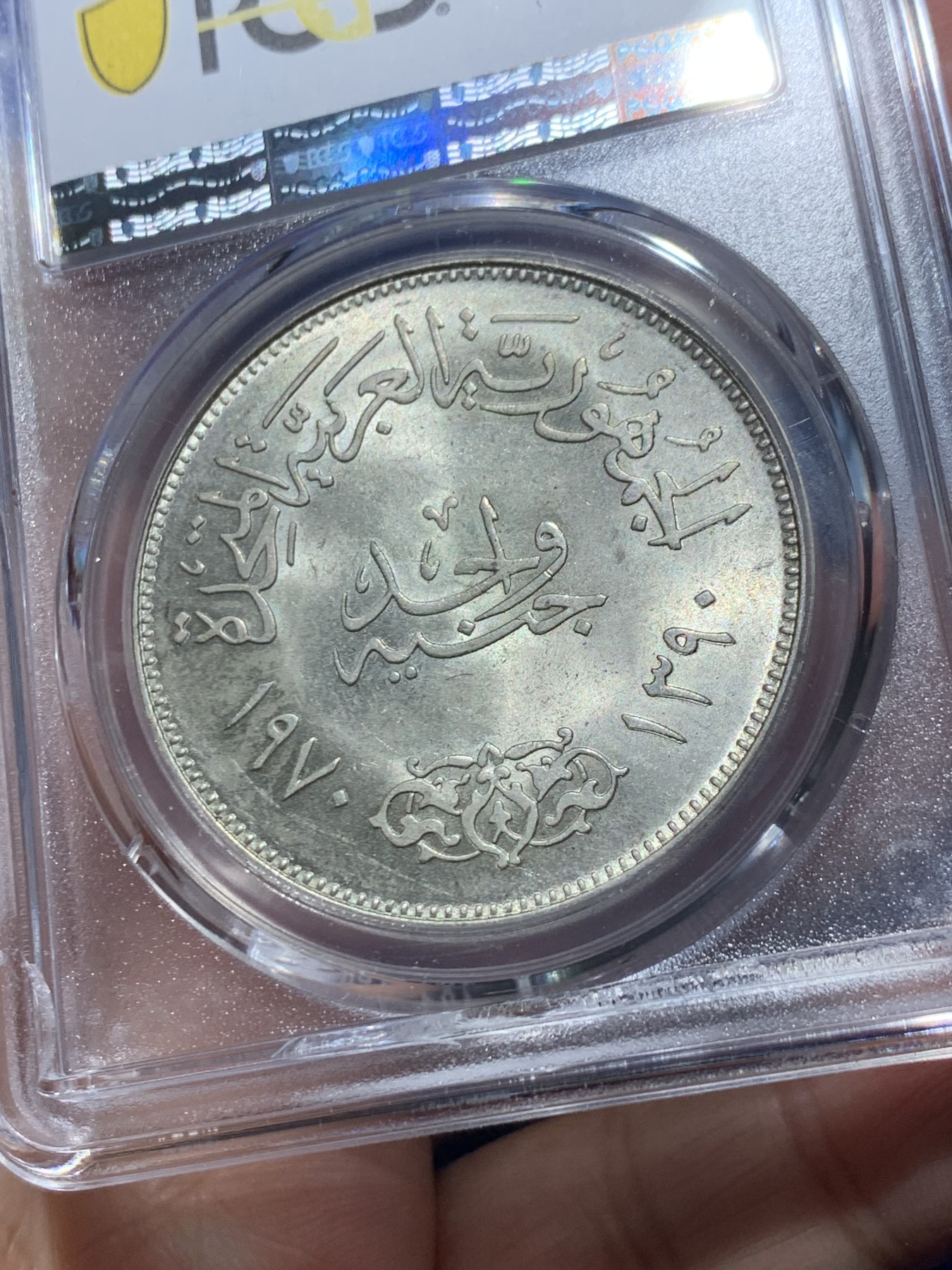《竞宝斋》第246场-周日，周一 ，周二3场连拍 (全场包邮) PCGS MS63 埃及1970年非洲雄狮纳赛尔纪念1磅大银币