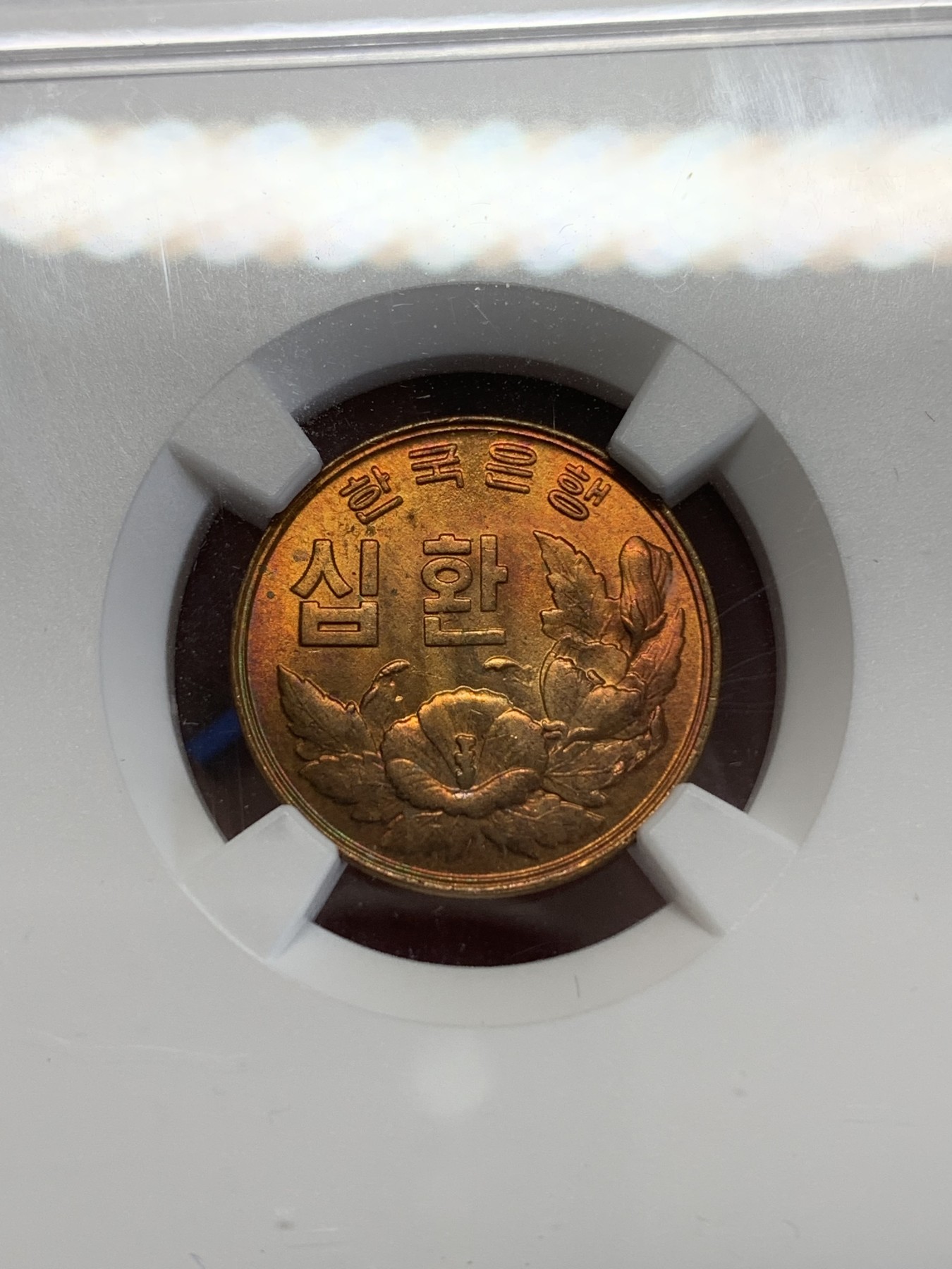 《竞宝斋》第246场-周日，周一 ，周二3场连拍 (全场包邮) NGC MS64RB 韩国1961木槿花10环 铜币 半岛热门品种