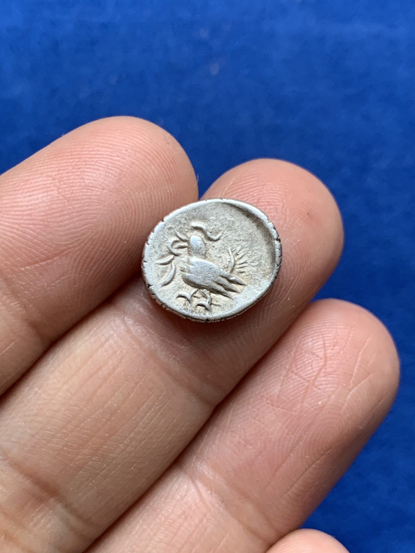 《竞宝斋》第246场-周日，周一 ，周二3场连拍 (全场包邮) 柬埔寨金边王朝1845前后小鸟打制银币