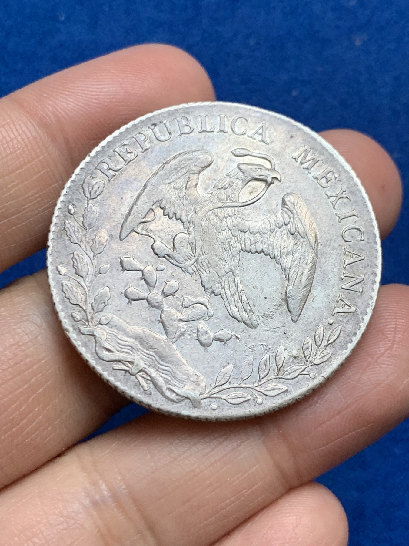 《竞宝斋》第246场-周日，周一 ，周二3场连拍 (全场包邮) 墨西哥1895年8R花边鹰洋银币 好品相 细节见图