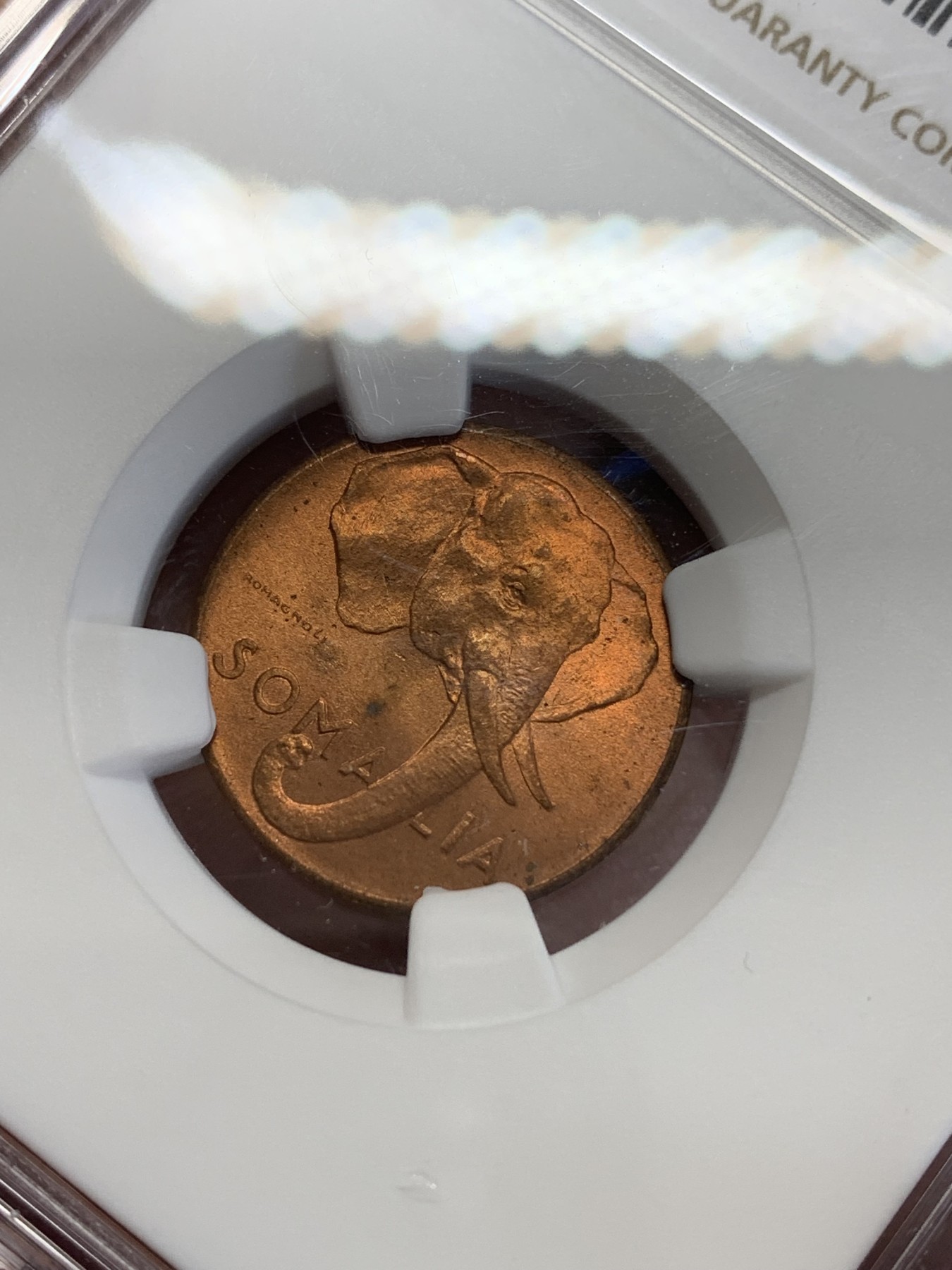 《竞宝斋》第246场-周日，周一 ，周二3场连拍 (全场包邮) NGC MS64RD 索马里1950年1分大象头像铜币，红光好品，RD！