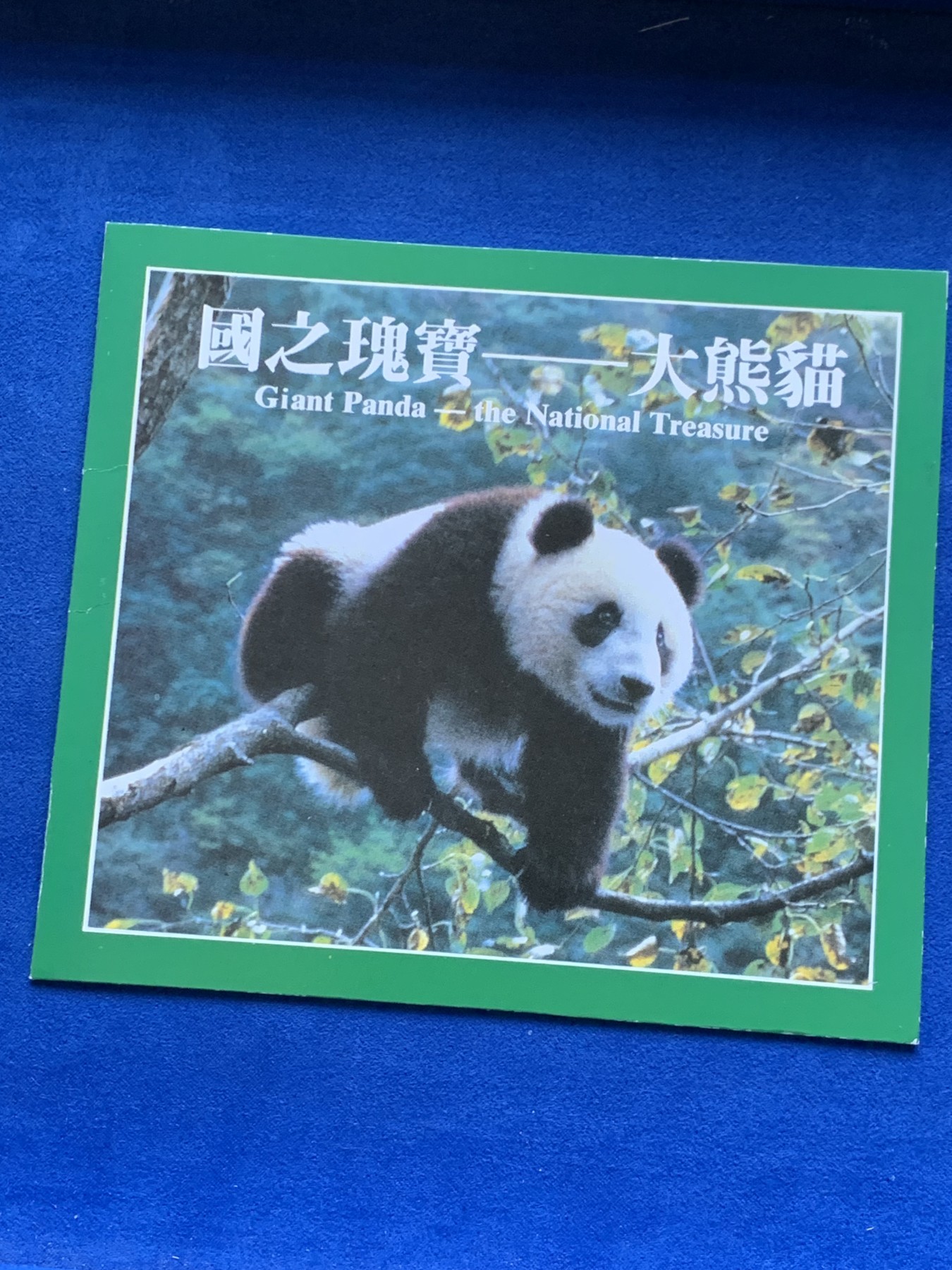 《竞宝斋》第246场-周日，周一 ，周二3场连拍 (全场包邮) 1993年大熊猫纪念币