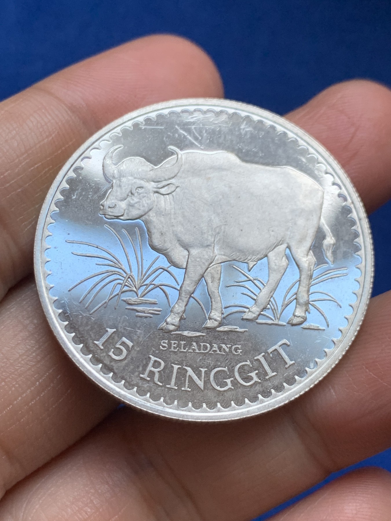 《竞宝斋》第246场-周日，周一 ，周二3场连拍 (全场包邮) 马来西亚1976年15林吉特精制大银币