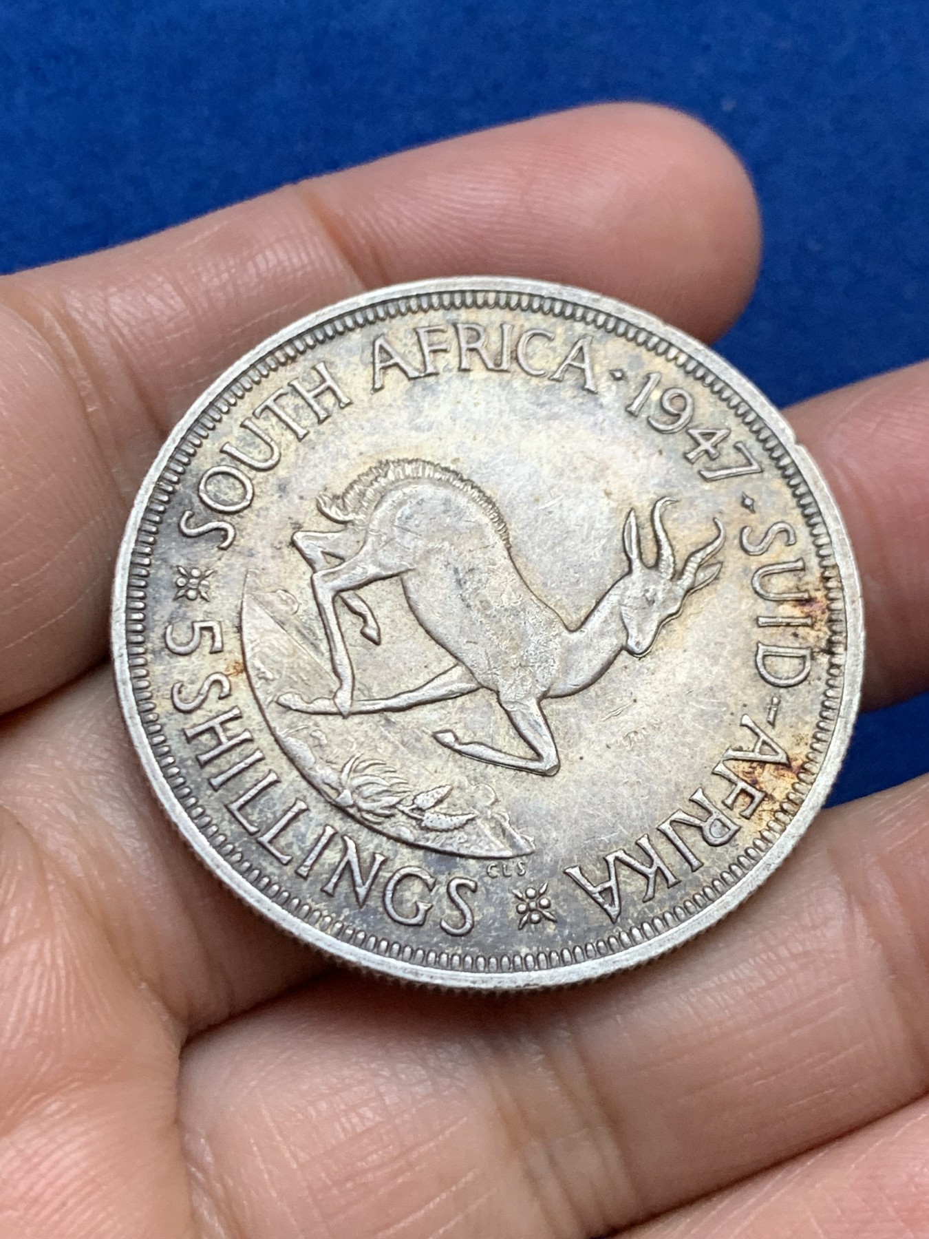 《竞宝斋》第246场-周日，周一 ，周二3场连拍 (全场包邮) 南非1947年 乔六跳羚5先令 银币 高银版