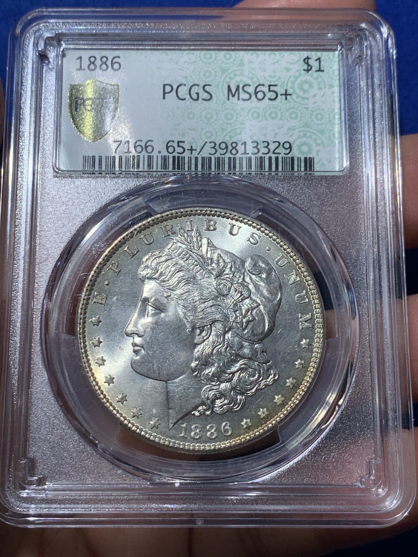 《竞宝斋》第246场-周日，周一 ，周二3场连拍 (全场包邮) PCGS MS65+ 美国1886年摩根银币，双面淡金彩