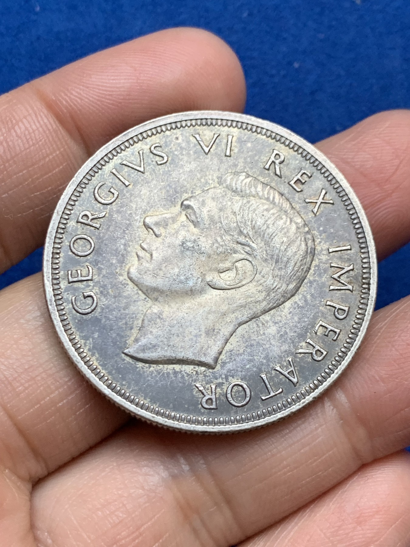 《竞宝斋》第246场-周日，周一 ，周二3场连拍 (全场包邮) 南非1947年 乔六跳羚5先令 银币 高银版