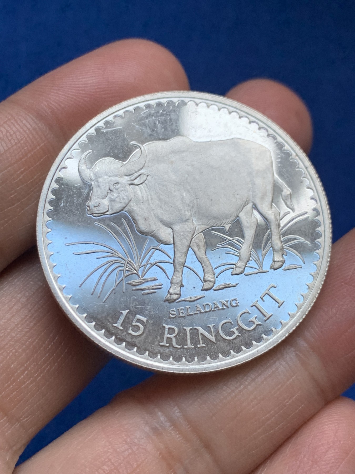 《竞宝斋》第246场-周日，周一 ，周二3场连拍 (全场包邮) 马来西亚1976年15林吉特精制大银币