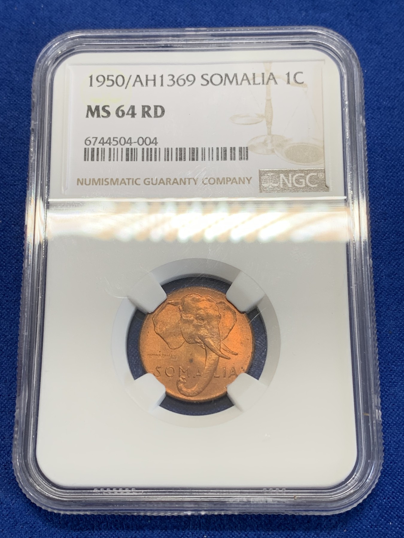 《竞宝斋》第246场-周日，周一 ，周二3场连拍 (全场包邮) NGC MS64RD 索马里1950年1分大象头像铜币，红光好品，RD！