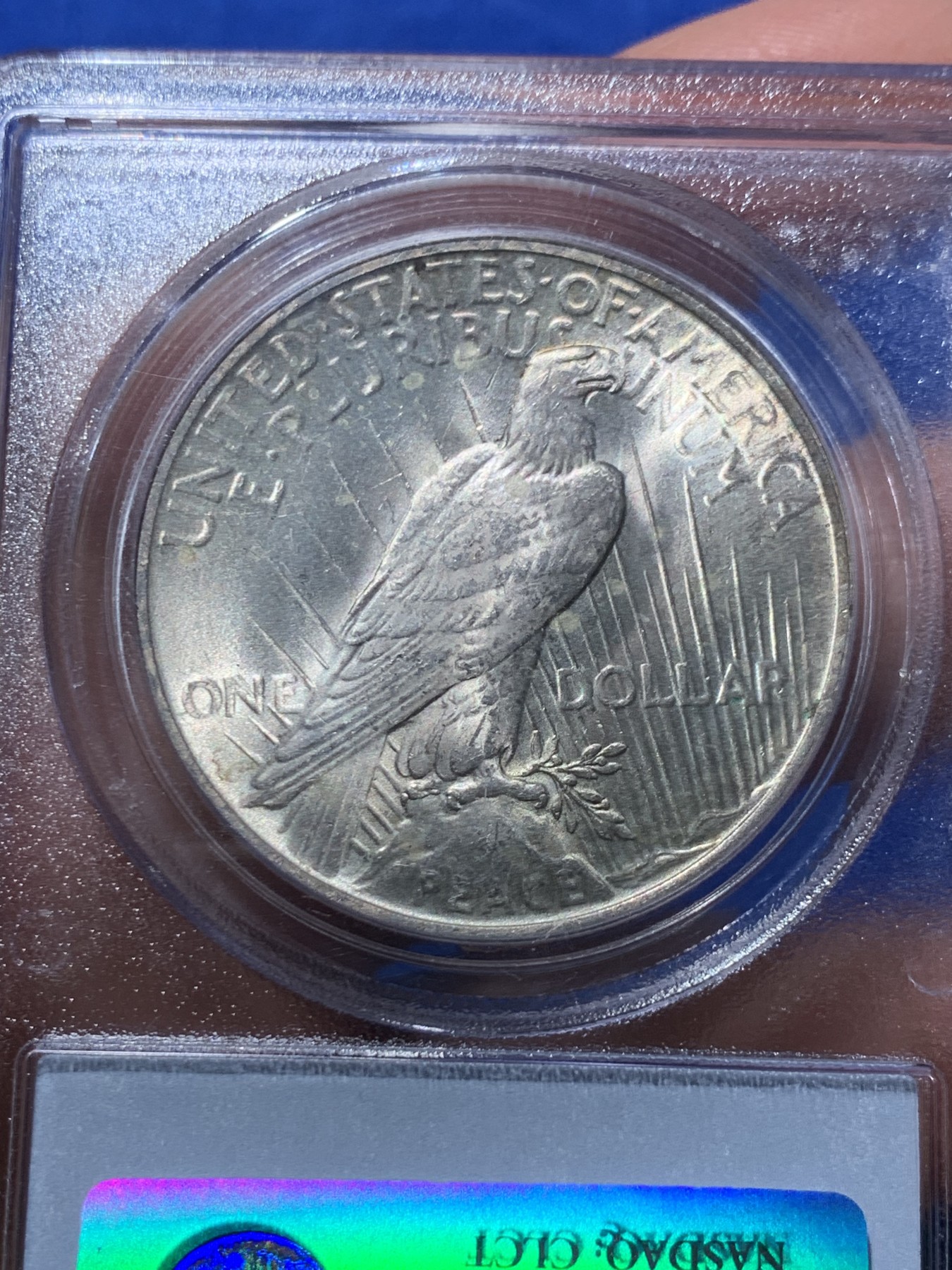 《竞宝斋》第246场-周日，周一 ，周二3场连拍 (全场包邮) PCGS-MS63 美国1922和平1元银币 pcgs老白标盒 严评 背面支撑脚小磕