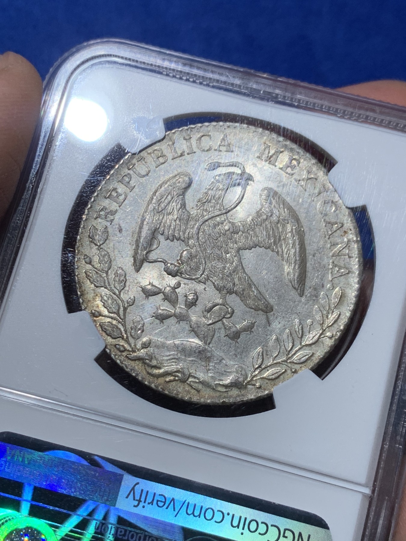 《竞宝斋》第246场-周日，周一 ，周二3场连拍 (全场包邮) NGC MS63 墨西哥1893年花边鹰洋 全羽毛 原光 丝绸底板