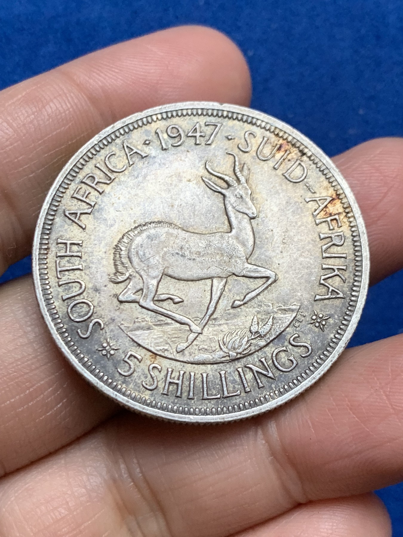 《竞宝斋》第246场-周日，周一 ，周二3场连拍 (全场包邮) 南非1947年 乔六跳羚5先令 银币 高银版