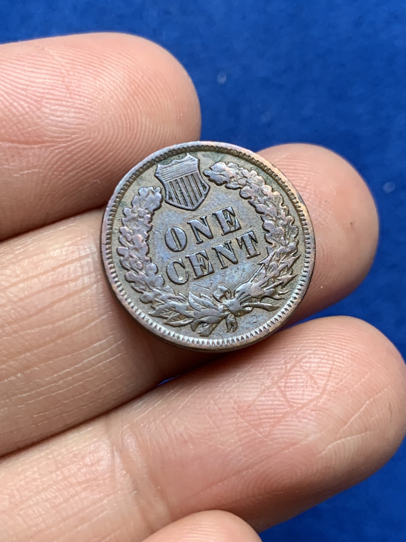 《竞宝斋》第246场-周日，周一 ，周二3场连拍 (全场包邮) 1902年美国1分铜币