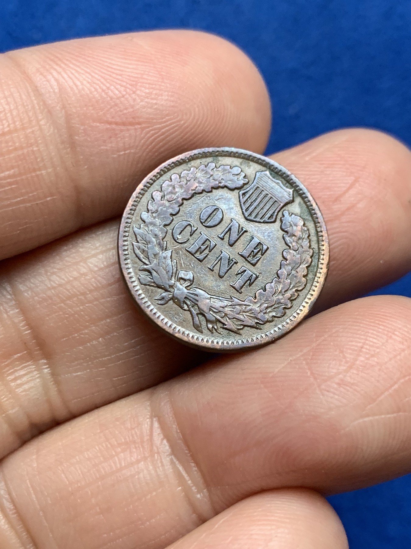 《竞宝斋》第246场-周日，周一 ，周二3场连拍 (全场包邮) 1902年美国1分铜币